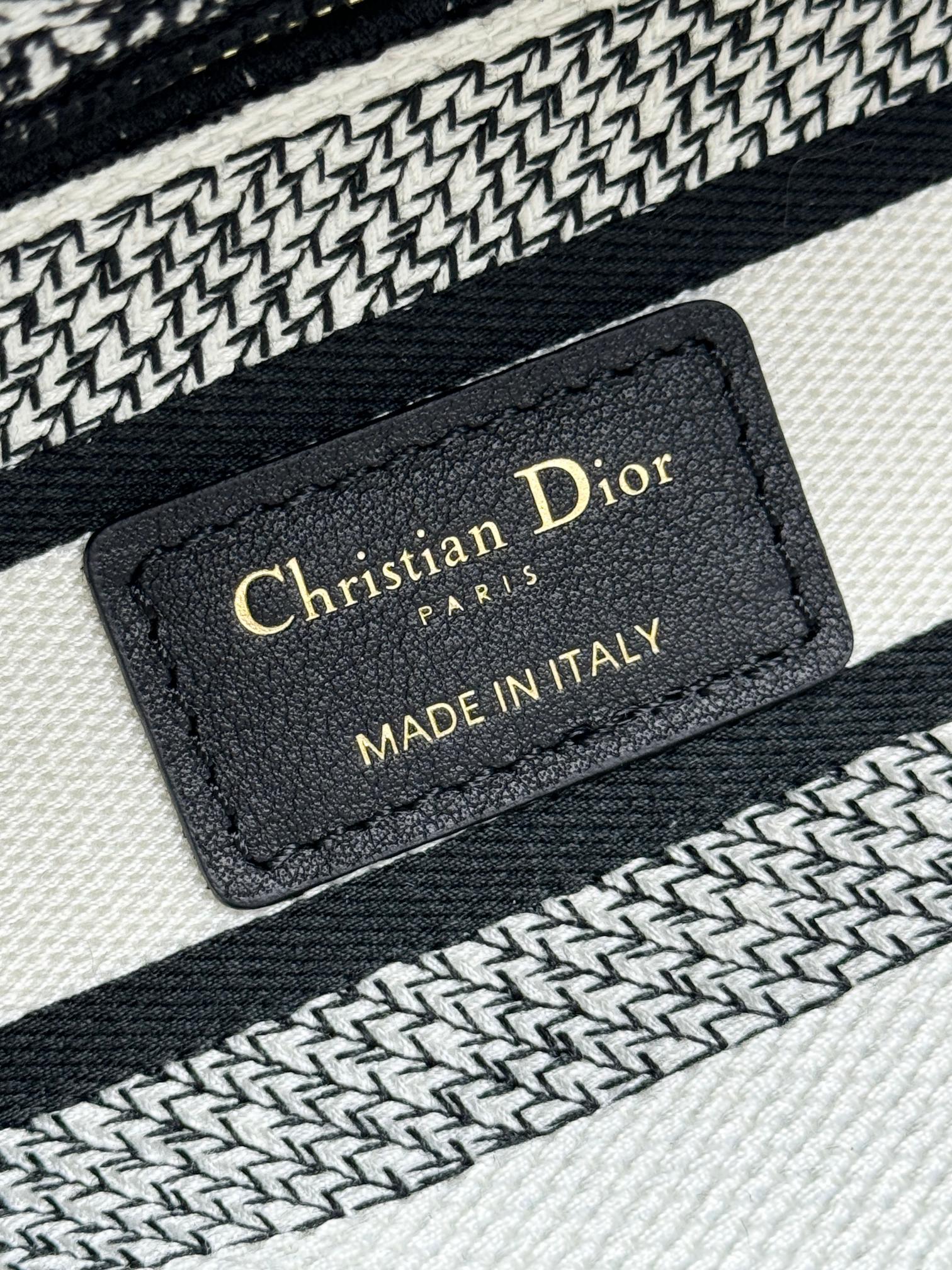 Christian Dior Medium Lady D-Lite Bag - Black & White Toile de Jouy Reverse Embroidery