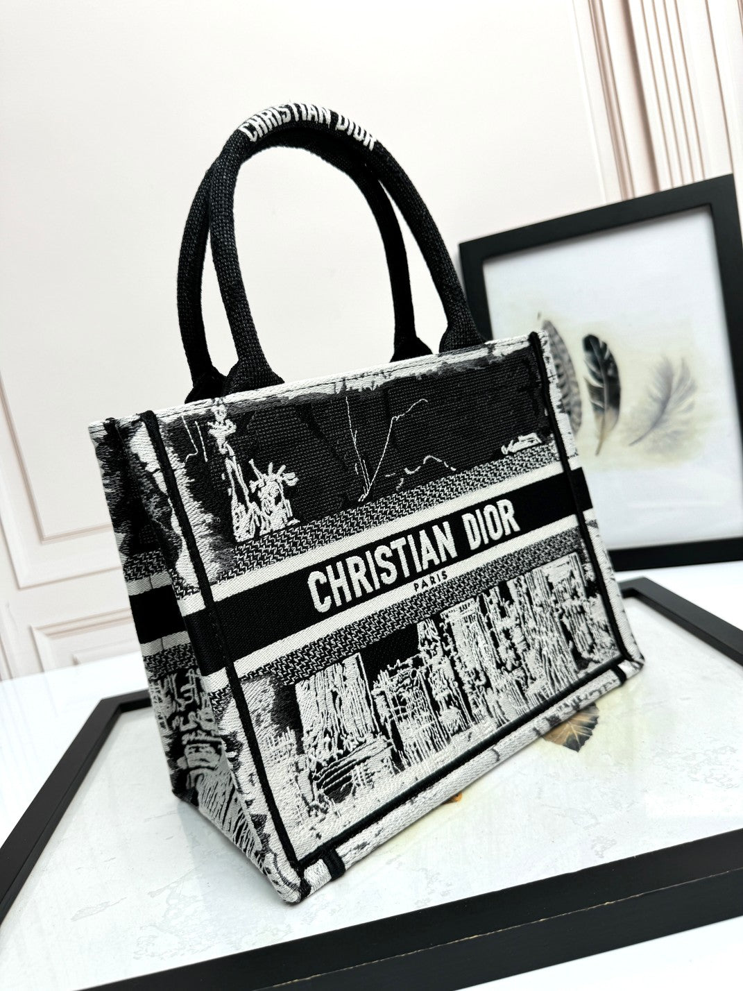Dior Monochrome City Landscape Embroidered Canvas Tote Handbag