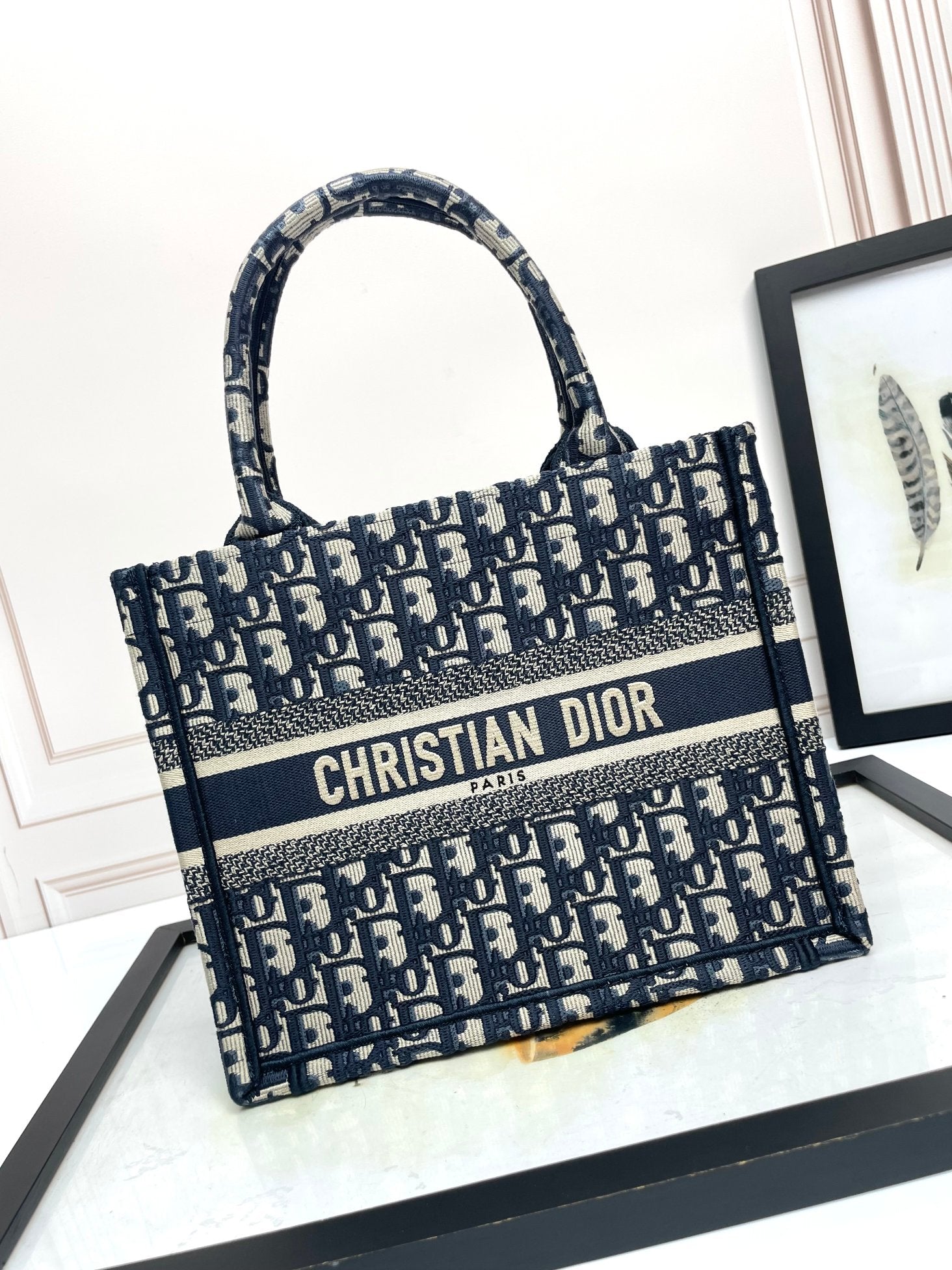 Christian Dior Blue Dior Oblique Embroidered Book Tote Bag