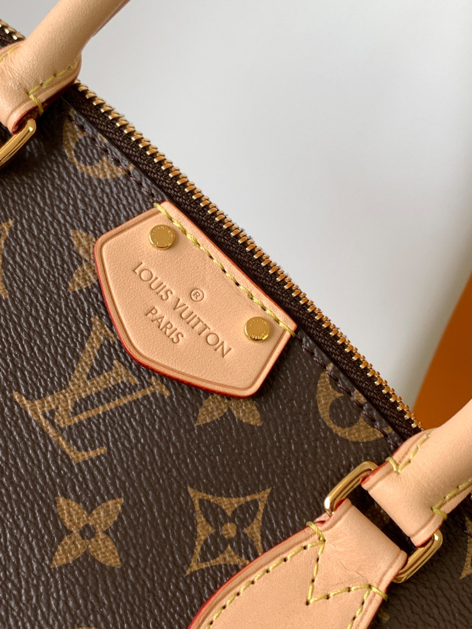 Louis Vuitton Turenne PM Monogram Canvas Handbag