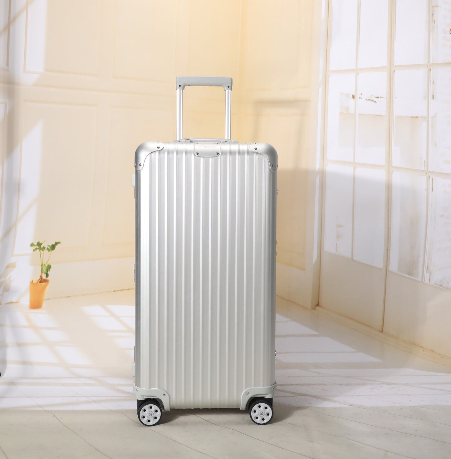 Sleek Silver Hardside Spinner Luggage with Telescopic Handle