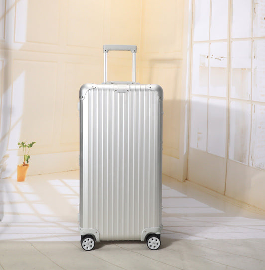 Sleek Silver Hardside Spinner Luggage with Telescopic Handle