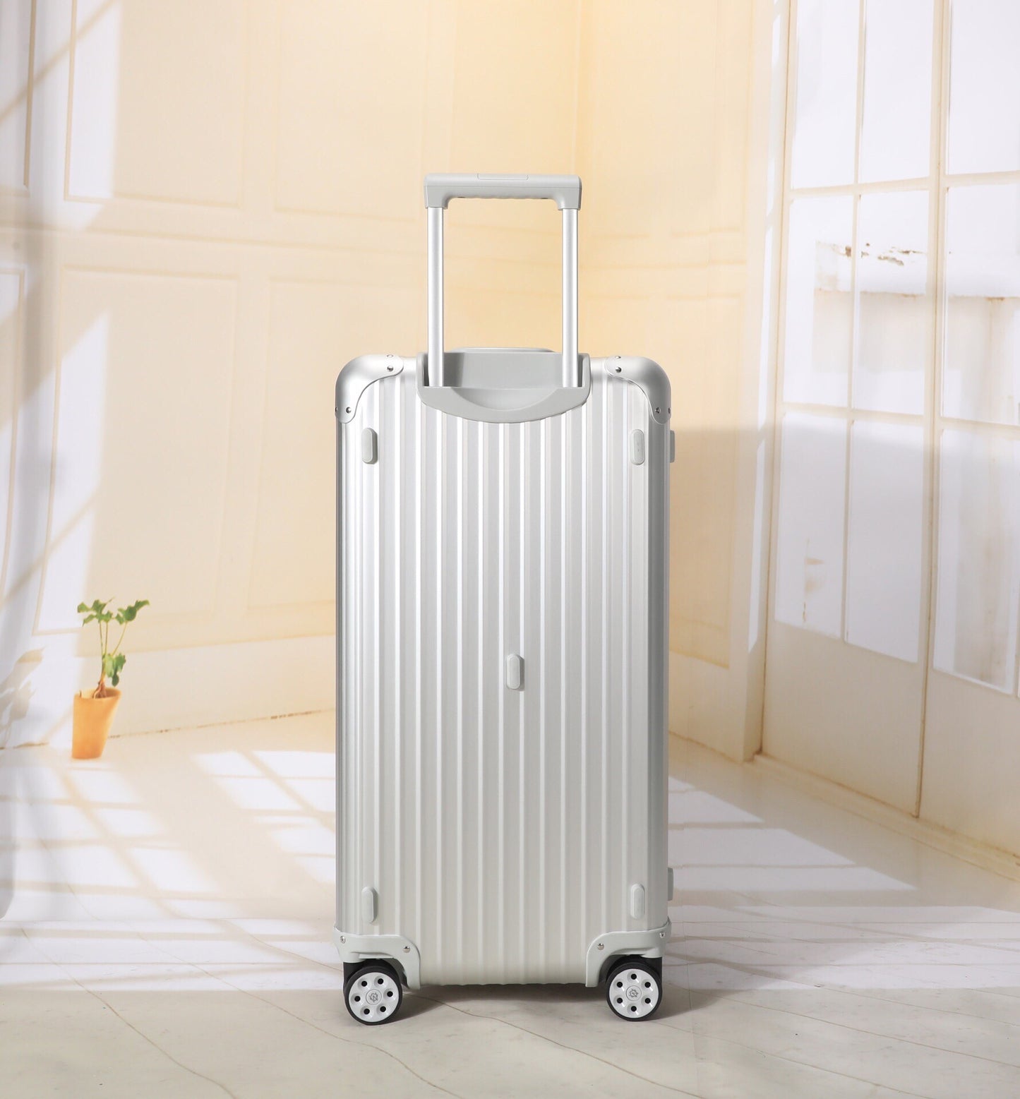 Sleek Silver Hardside Spinner Luggage with Telescopic Handle