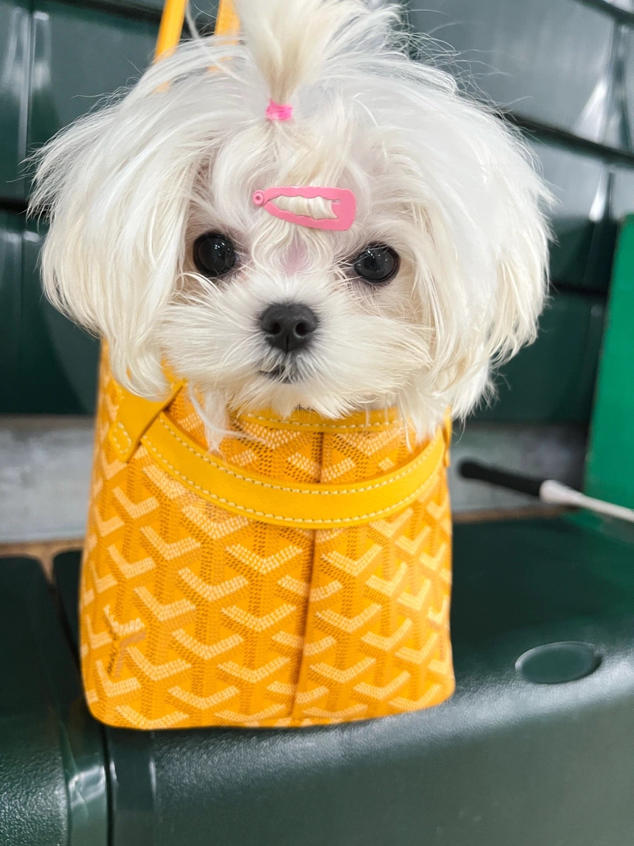Gogy Luxury Yellow Chevron Pattern Pet Carrier Tote Bag for Small Dogs
