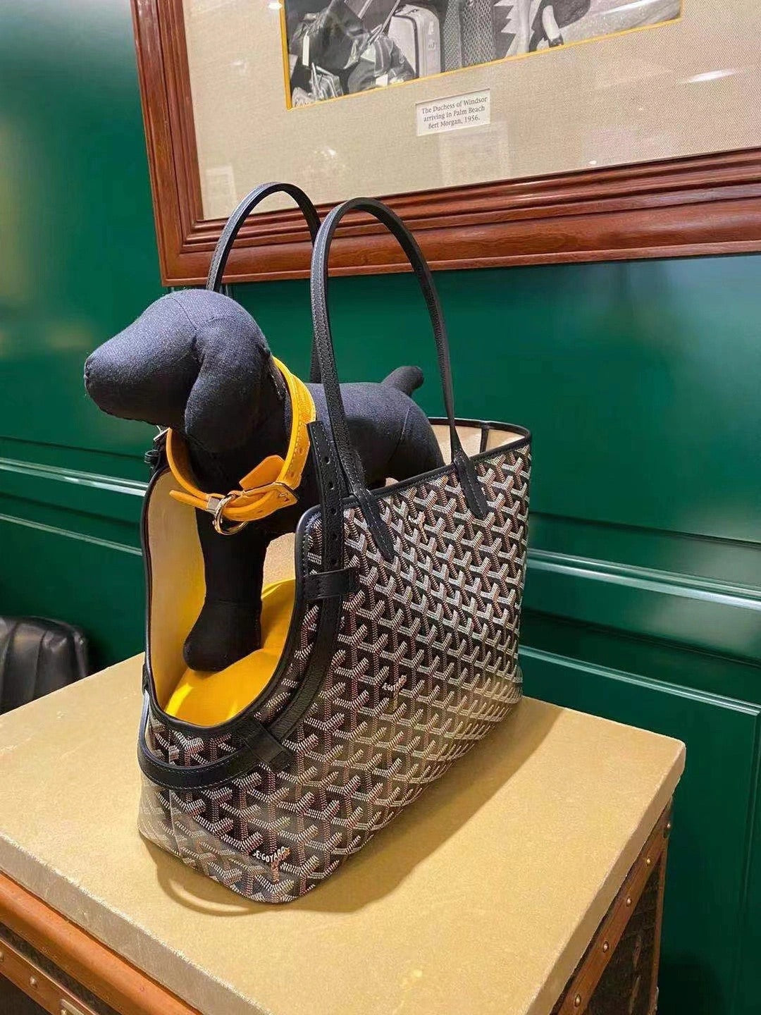 Gogy Designer Chevron Print Pet Carrier Tote Bag and Leather Dog Leash