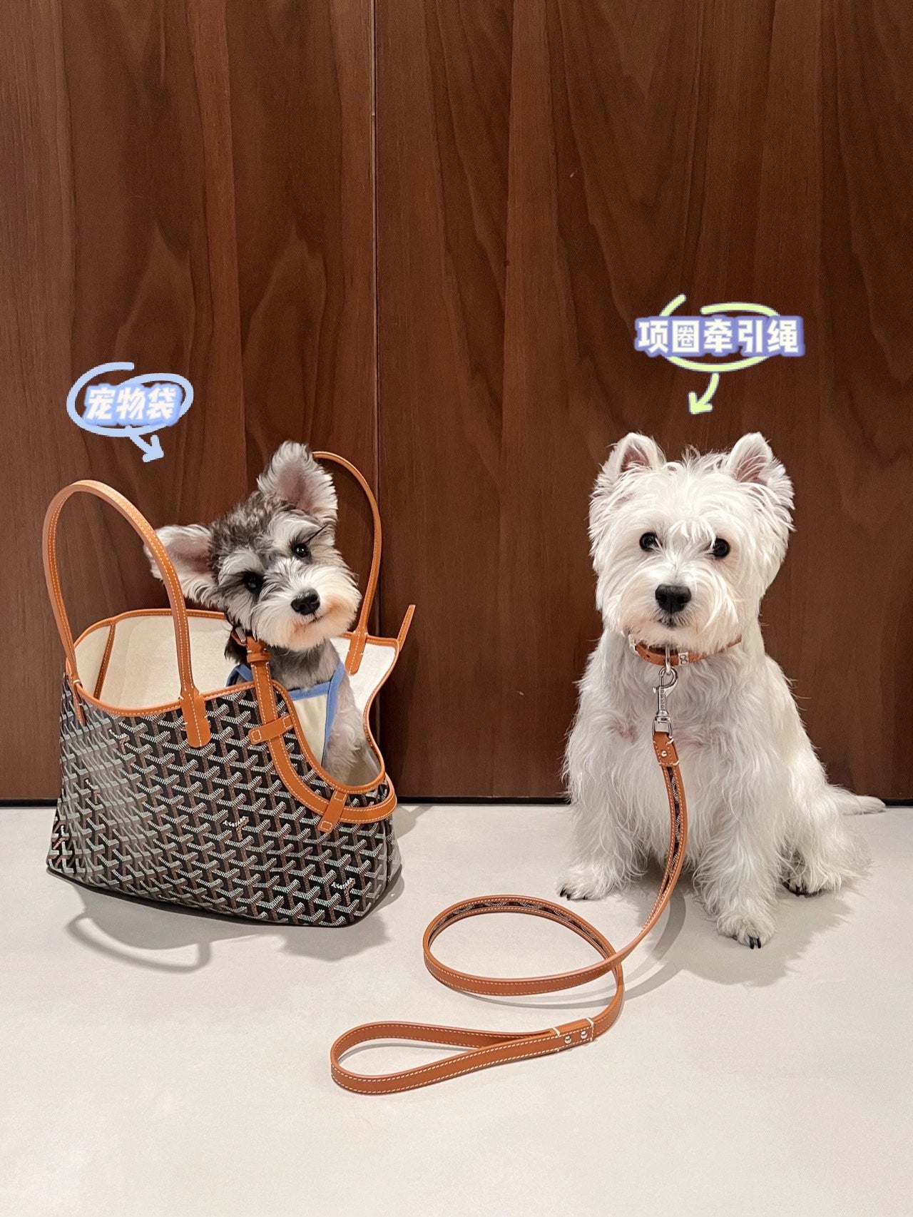 Gogy Designer Chevron Print Pet Carrier Tote Bag and Leather Dog Leash