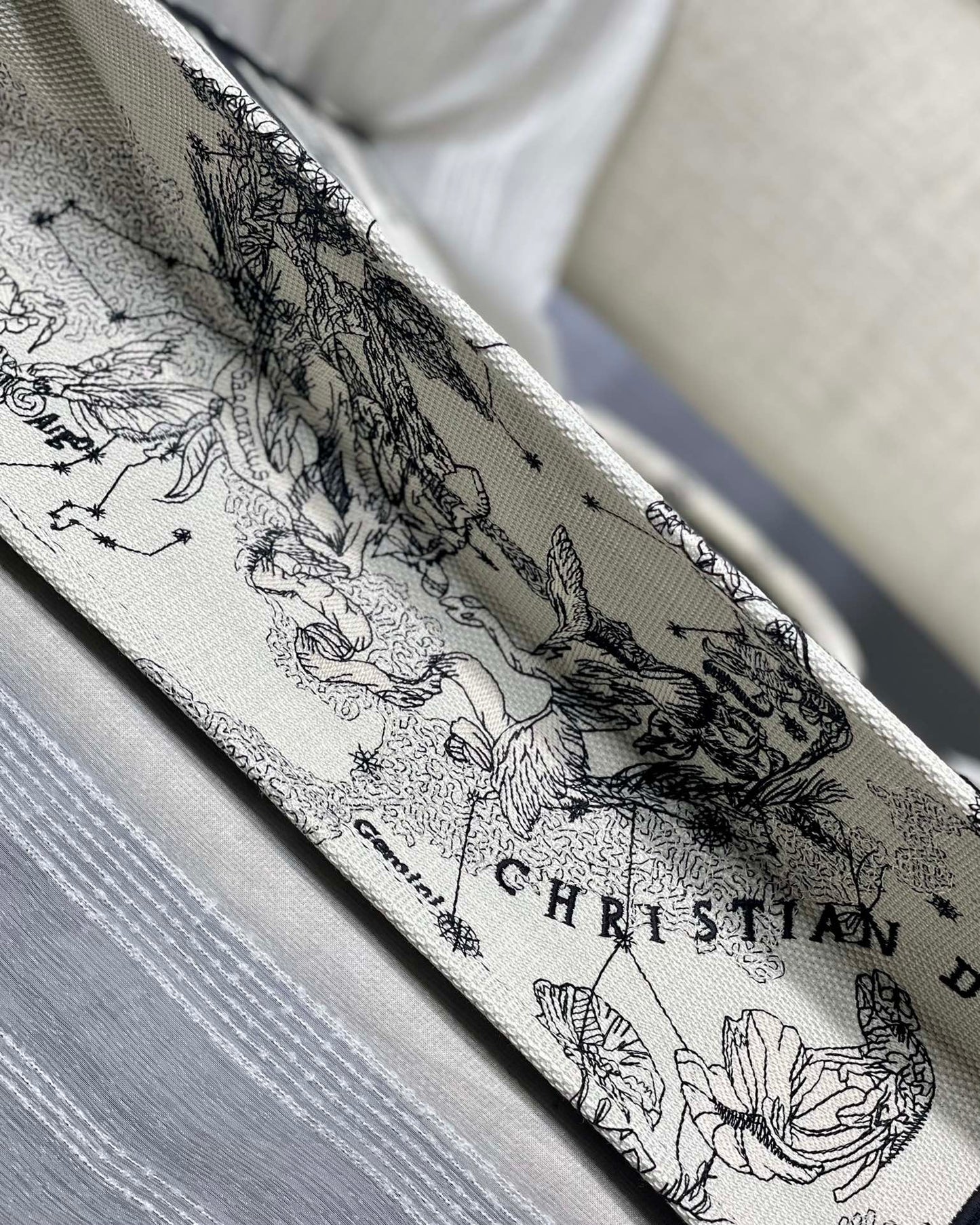 Christian Dior Book Tote Blue and White Zodiac Embroidered Canvas Bag