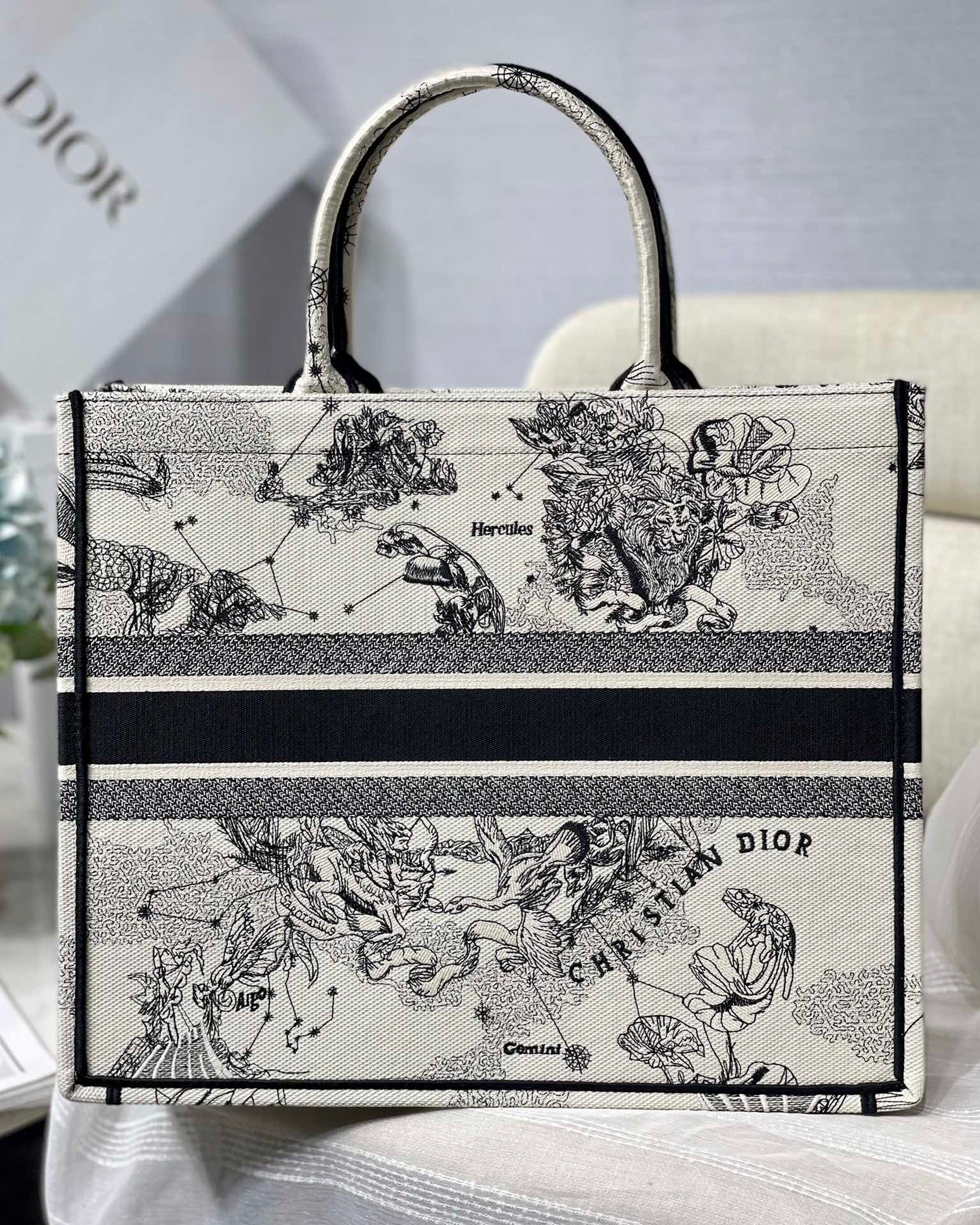 Dior Celestial Zodiac Constellation Print Canvas Tote Handbag
