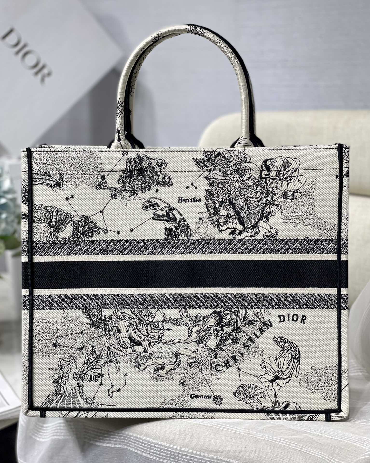 Dior Celestial Zodiac Constellation Print Canvas Tote Handbag