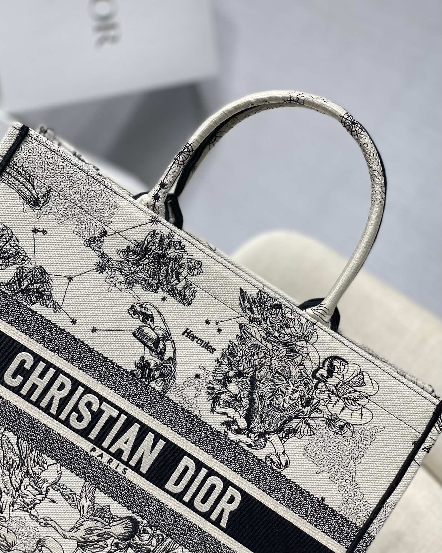 Christian Dior Book Tote Blue and White Zodiac Embroidered Canvas Bag