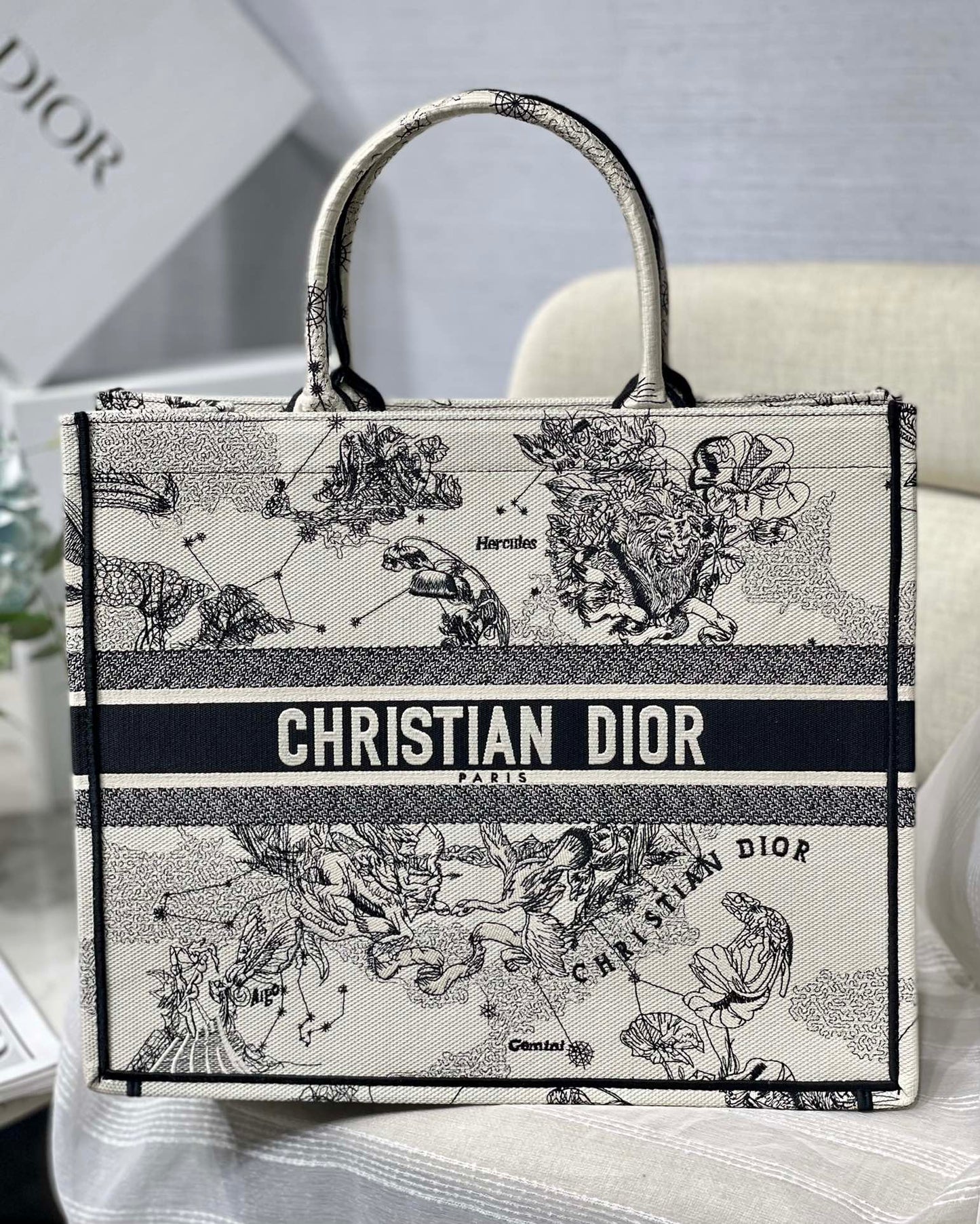 Dior Celestial Zodiac Constellation Print Canvas Tote Handbag