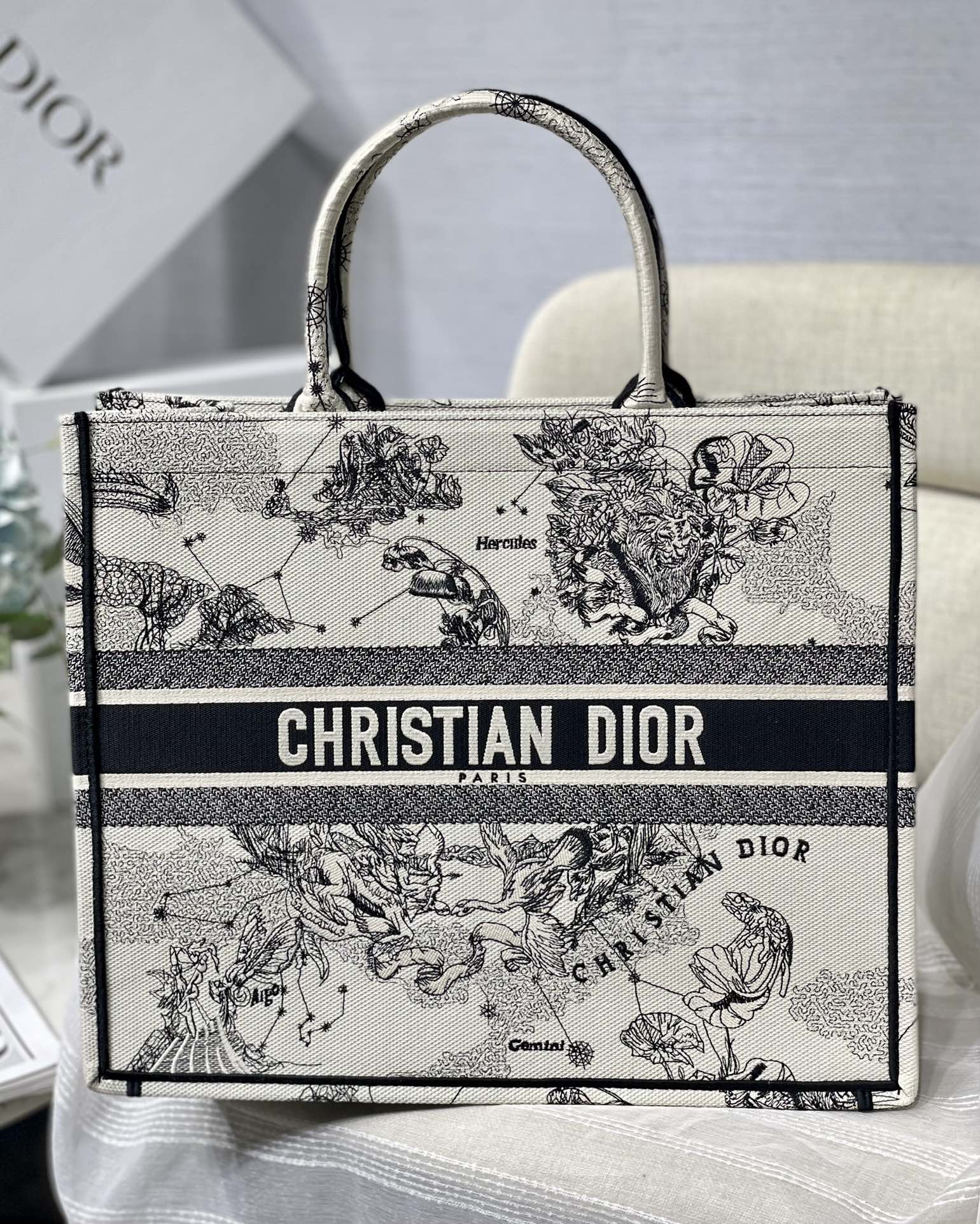 Dior Celestial Zodiac Constellation Print Canvas Tote Handbag
