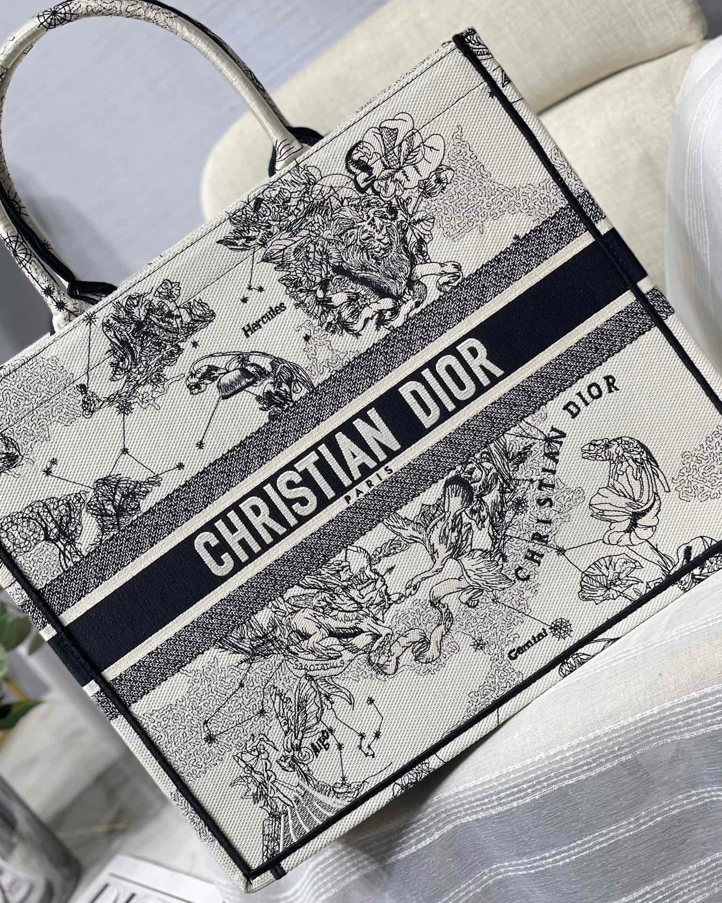 Dior Celestial Zodiac Constellation Print Canvas Tote Handbag