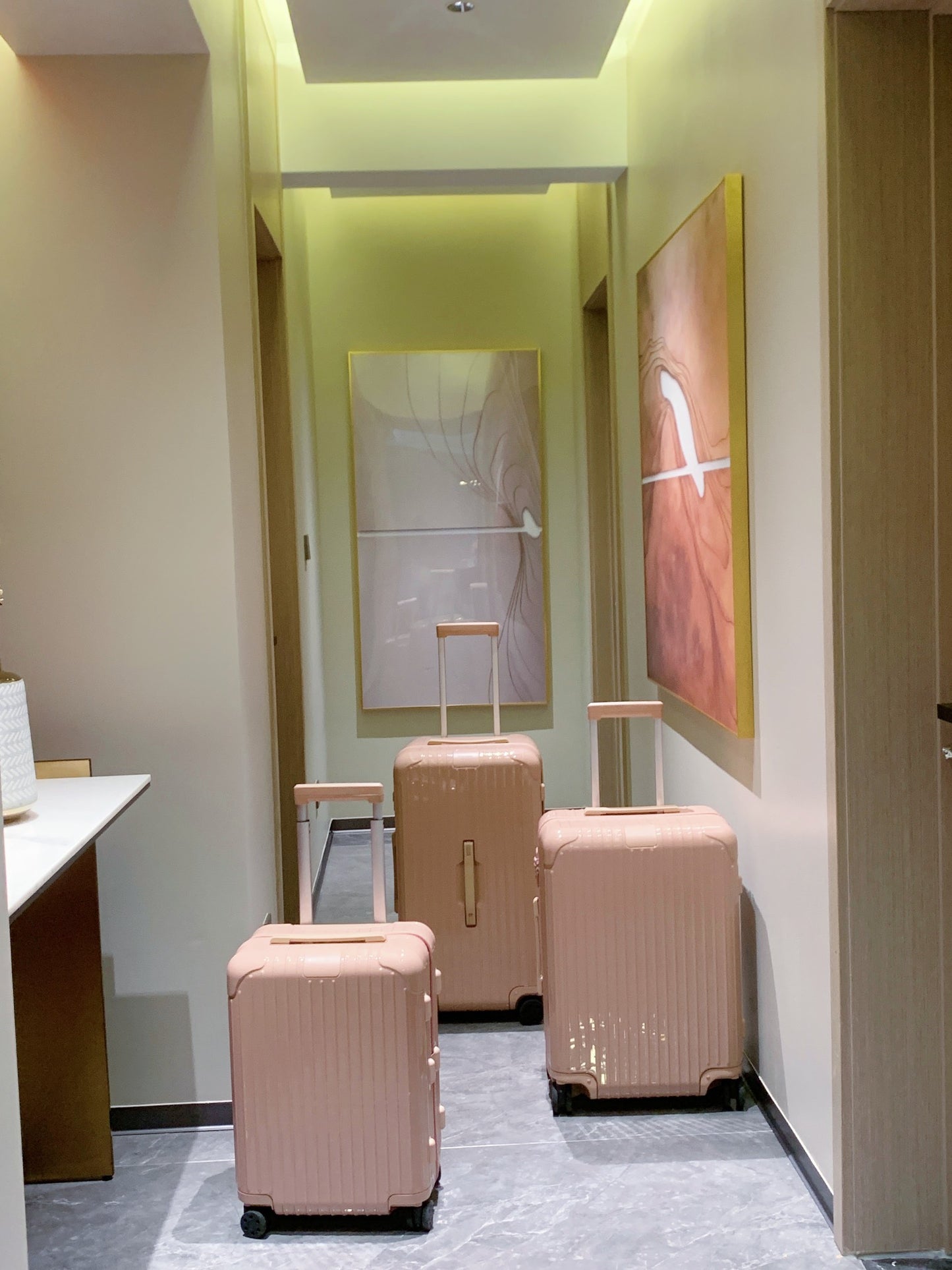 Minimalist Dusty Rose Pink Hardshell Spinner Luggage Set for Travel
