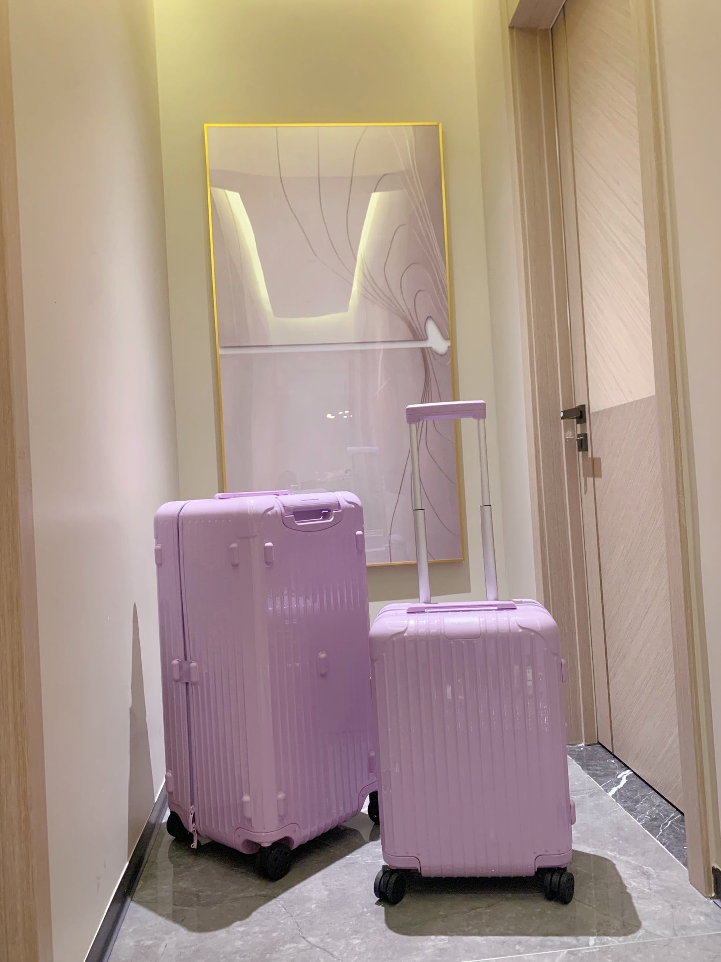 Minimalist Dusty Rose Pink Hardshell Spinner Luggage Set for Travel