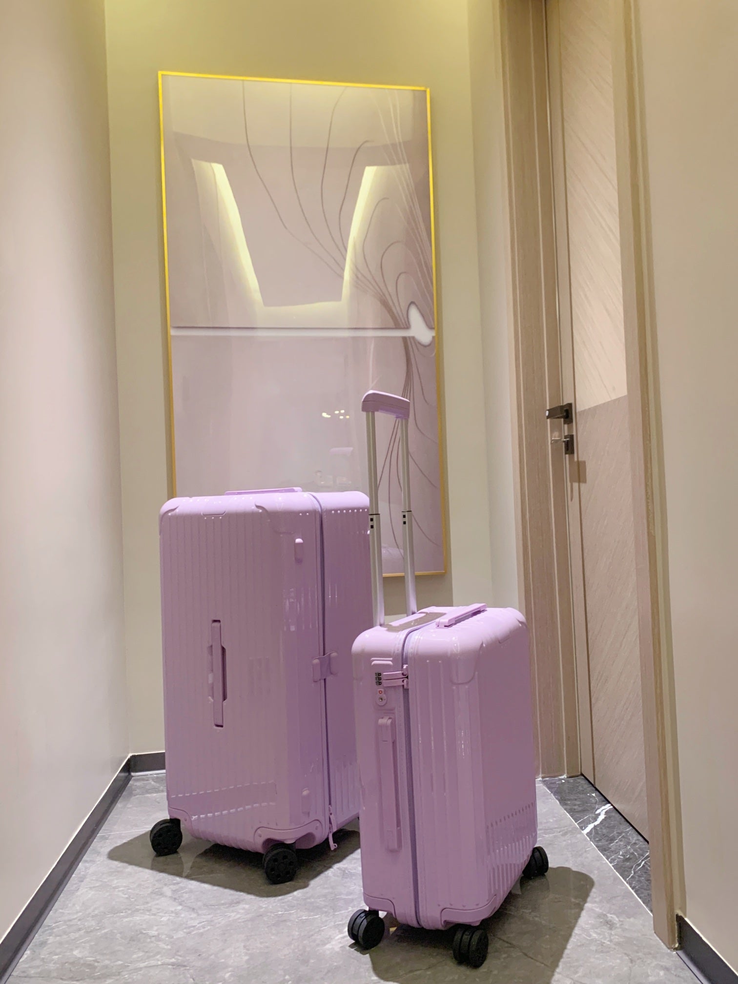 Minimalist Dusty Rose Pink Hardshell Spinner Luggage Set for Travel
