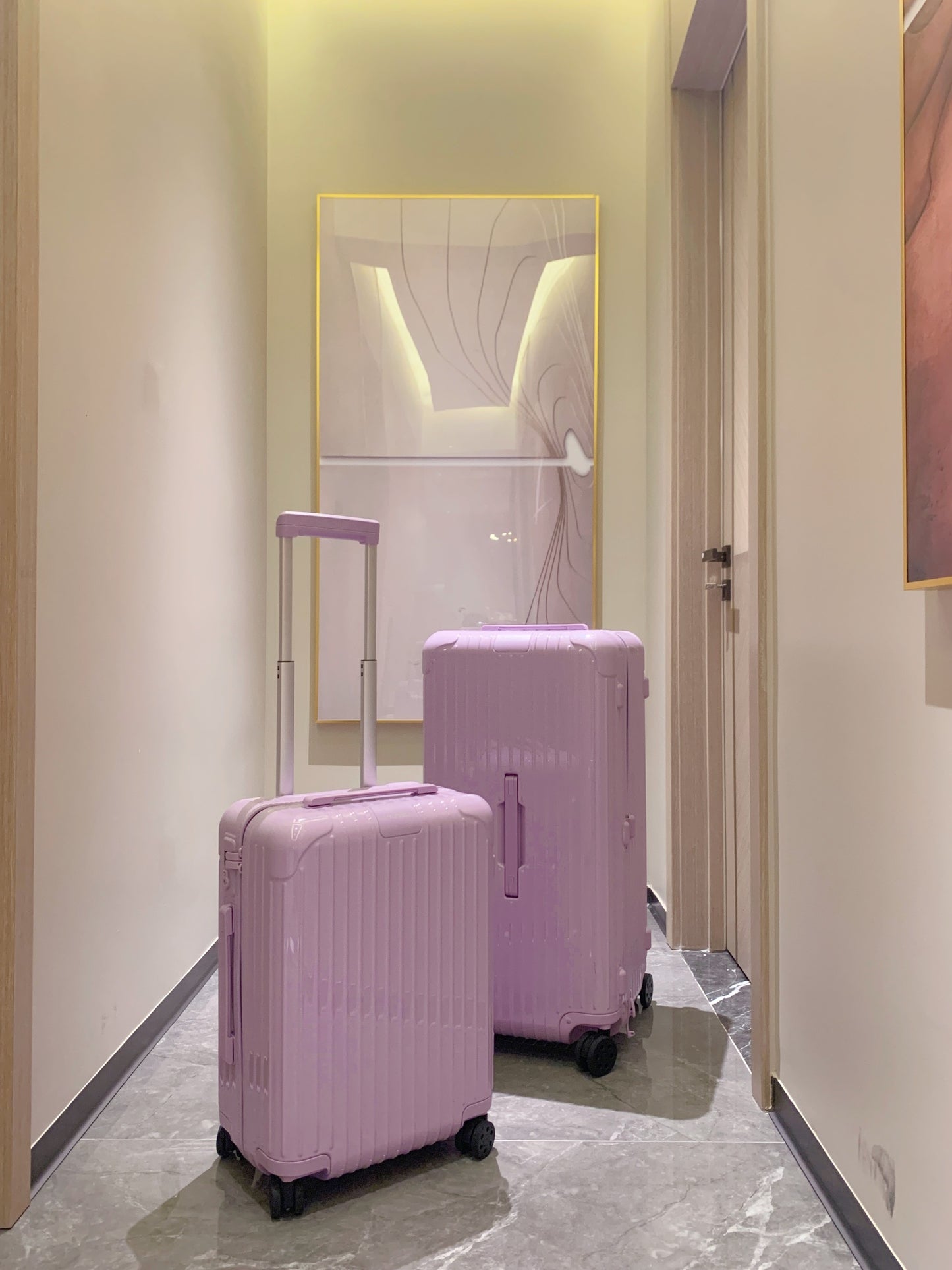 Minimalist Dusty Rose Pink Hardshell Spinner Luggage Set for Travel