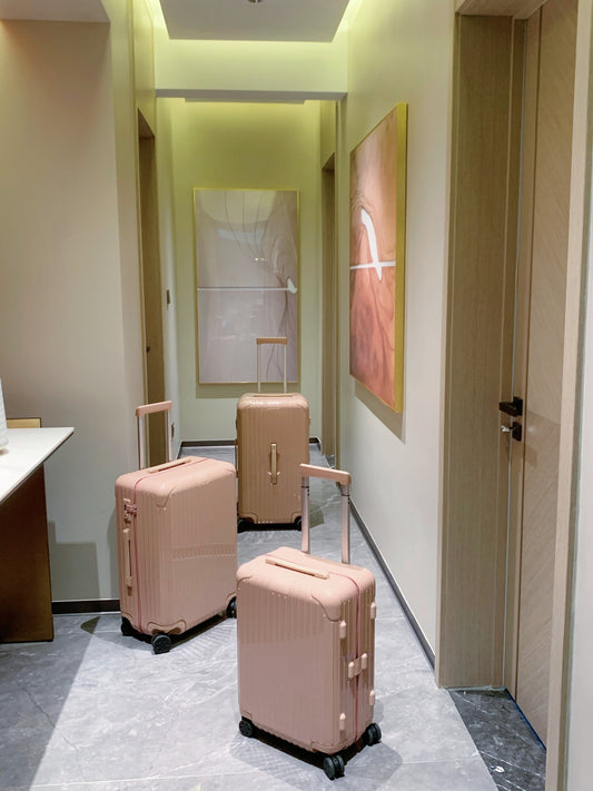 Minimalist Dusty Rose Pink Hardshell Spinner Luggage Set for Travel