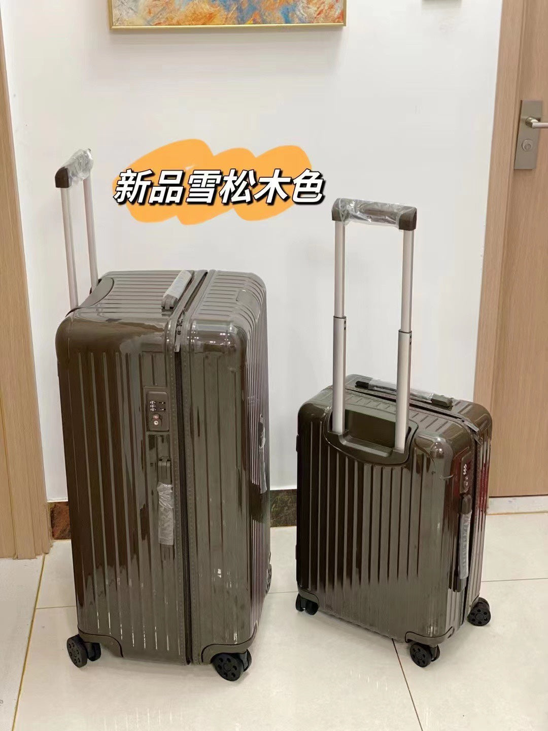 Glossy Ribbed Hardside Spinner Luggage Set in Olive Green