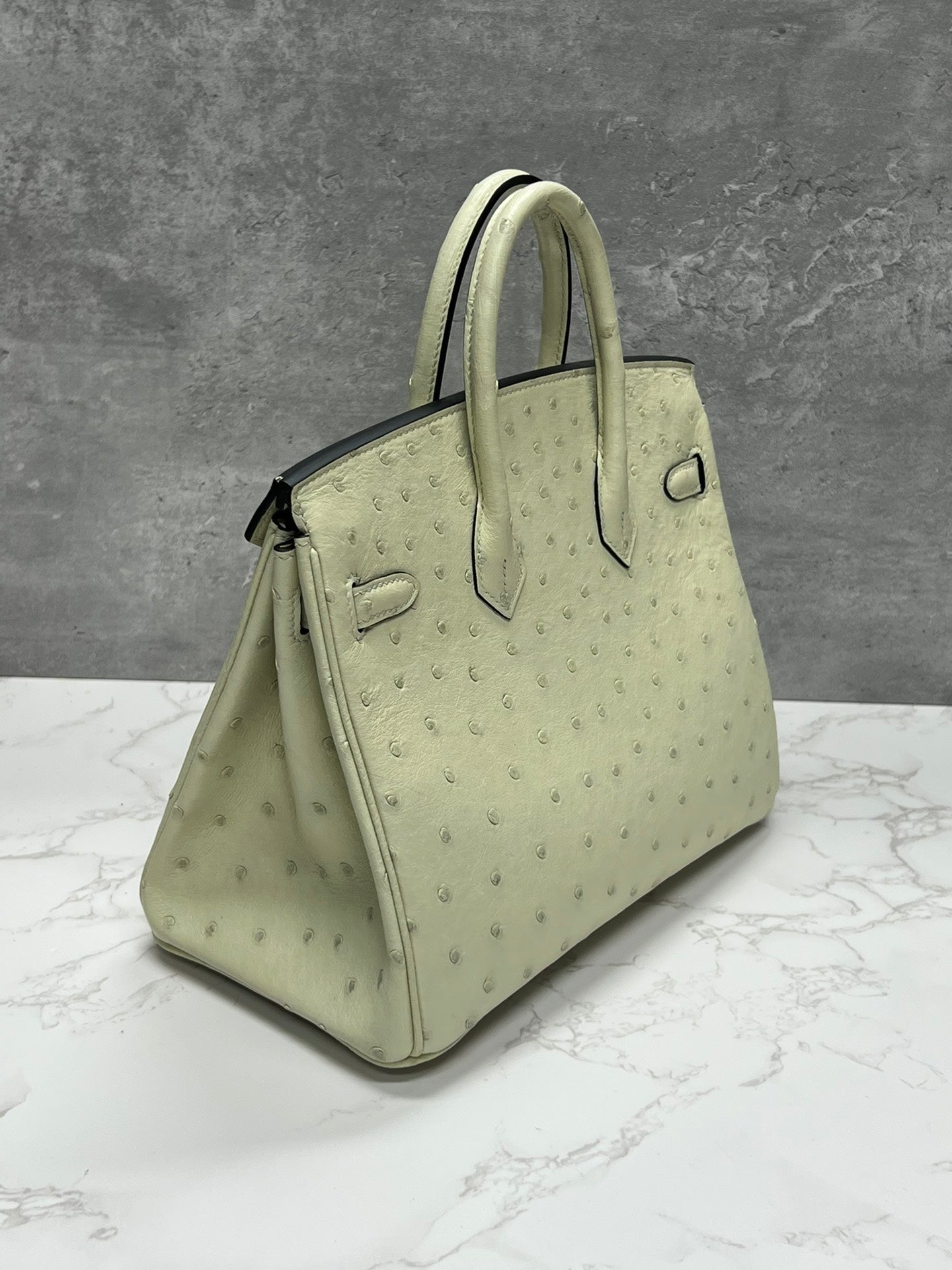Luxury Ostrich Leather Handbag - Cream Top Handle Tote Bag