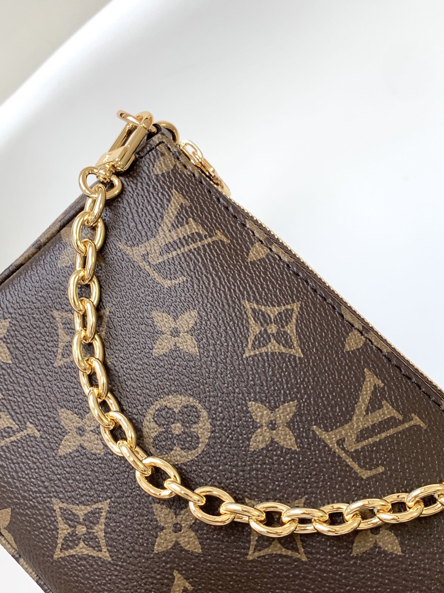 Louis Vuitton Monogram Pochette Accessoires Brown Canvas Bag