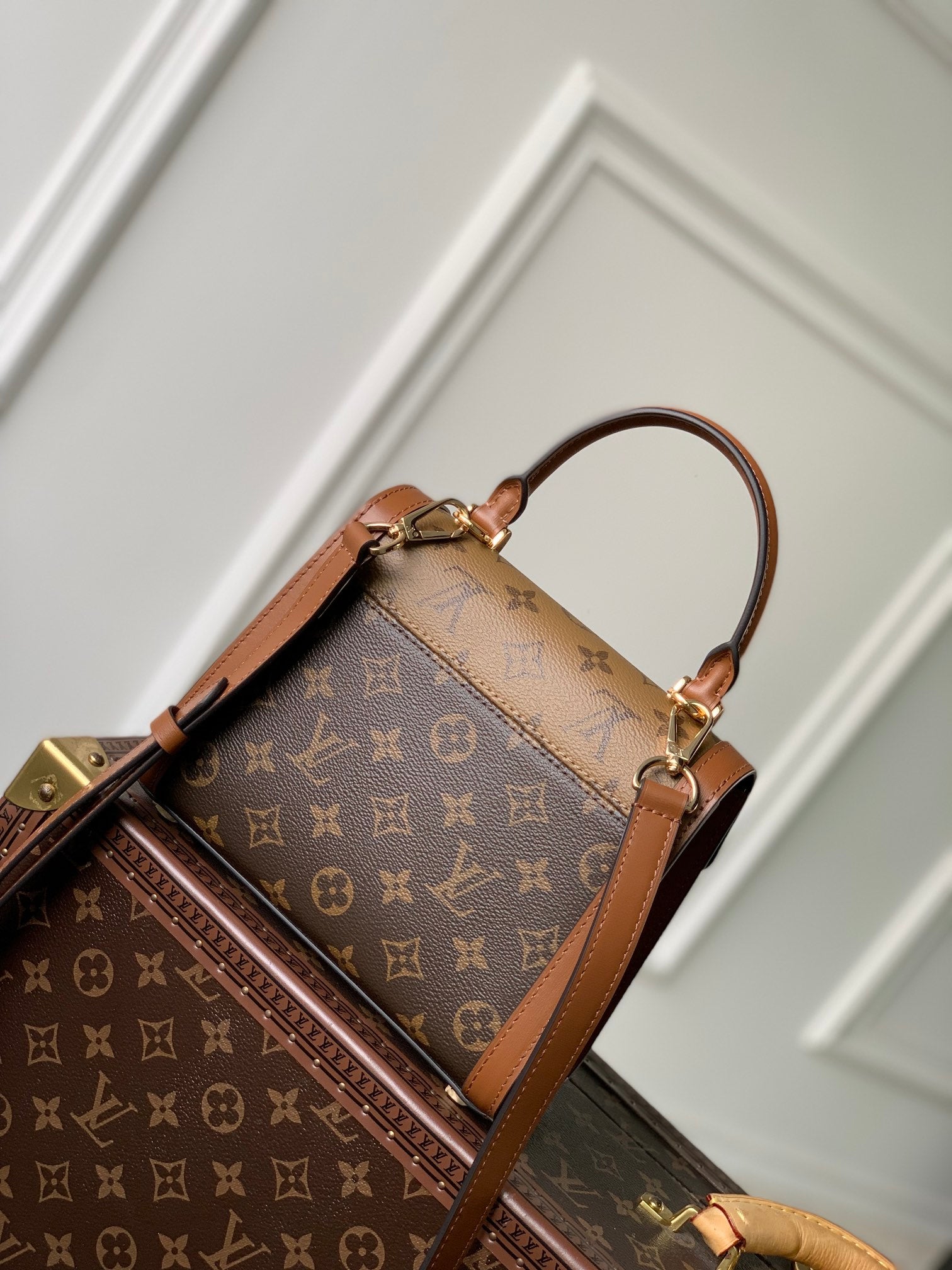 Louis Vuitton Dauphine MM Monogram &amp; Monogram Reverse Canvas Bag