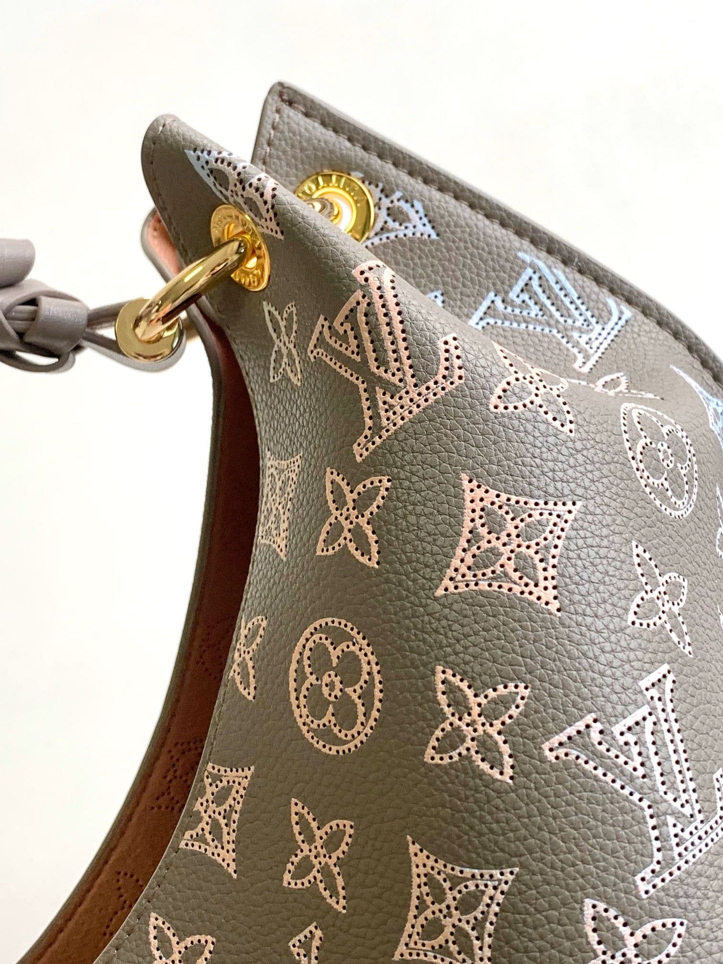 Louis Vuitton Taupe Monogram Leather Hobo Bag with Braided Handle