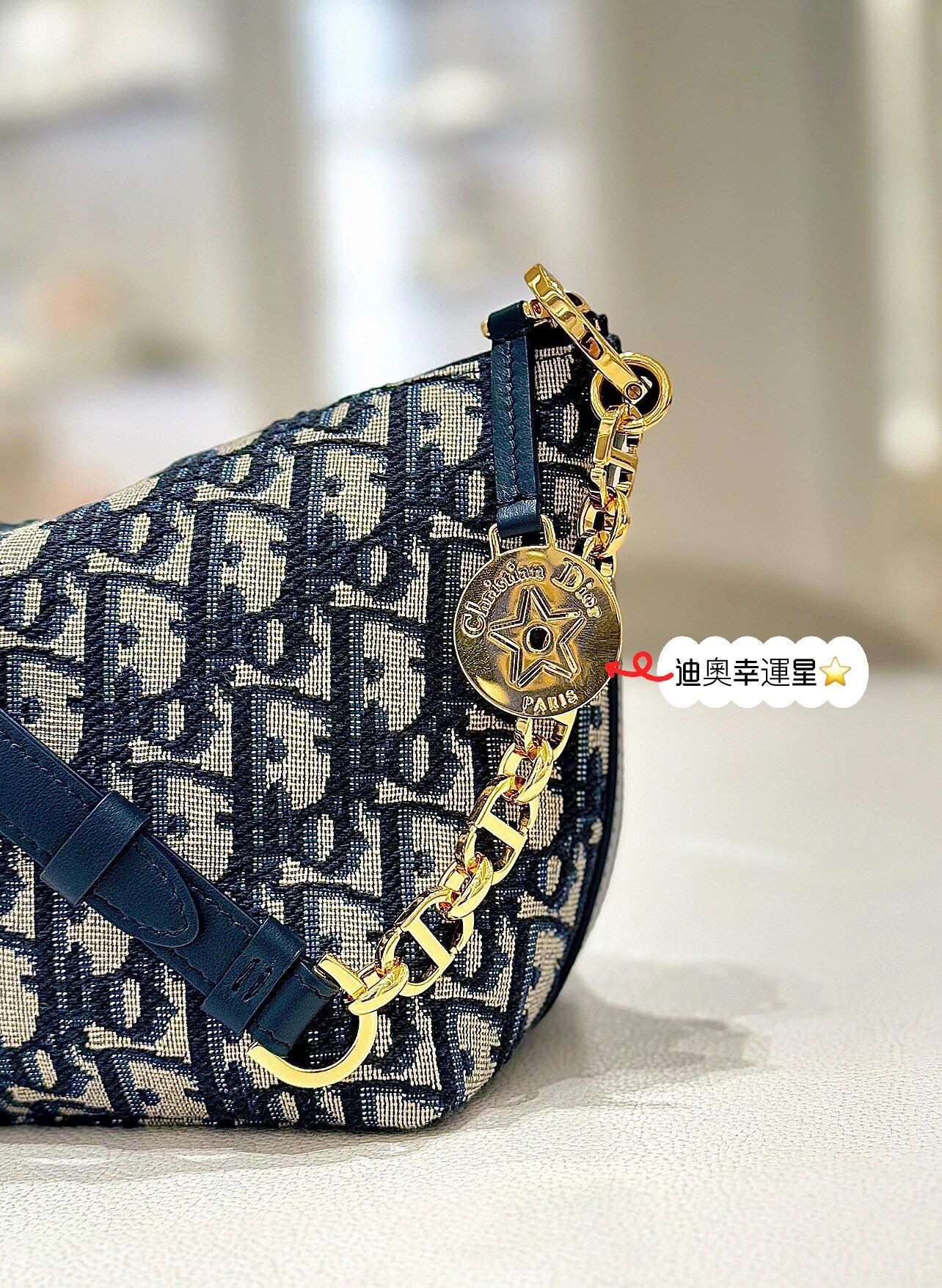 Christian Dior Oblique Jacquard Shoulder Bag - Navy Blue & Beige Canvas