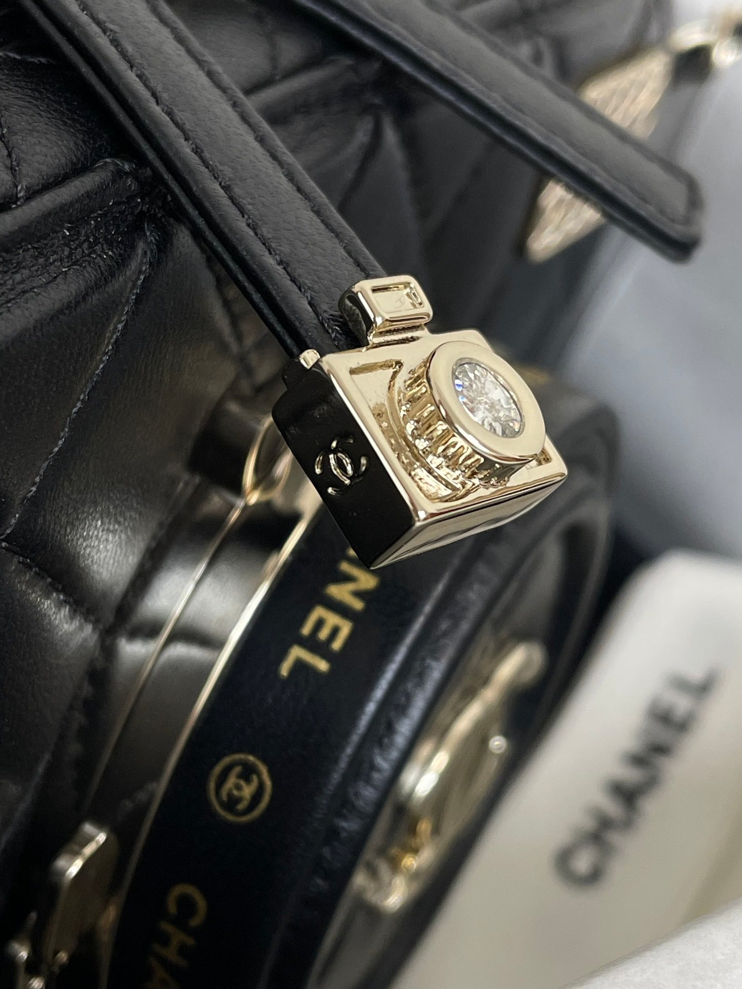 Chanel Quilted Lambskin Camera Case Mini Bag - Black with Gold-Tone Hardware