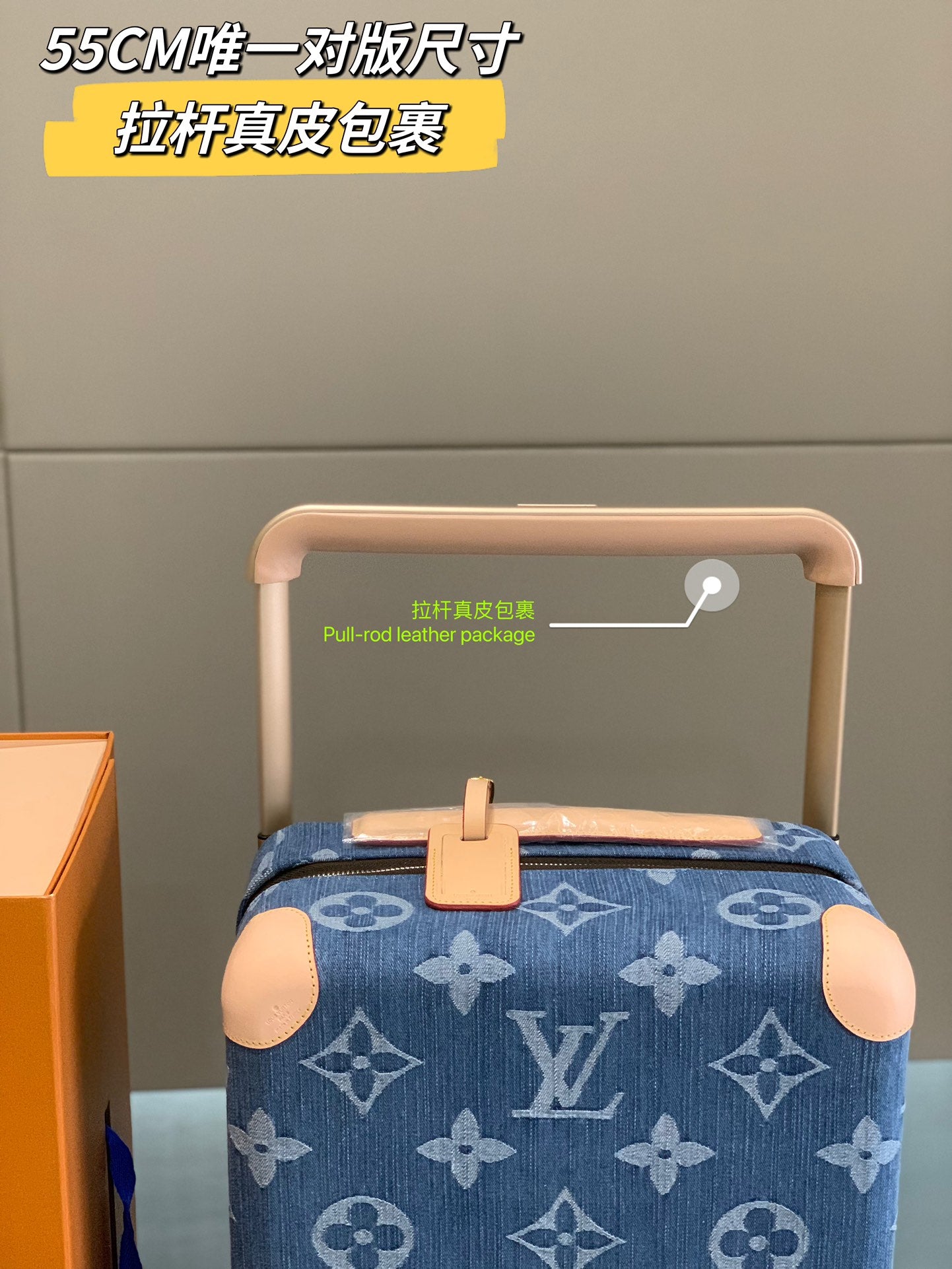 Blue Monogram Denim Pattern Rolling Suitcase Carry-On Bag