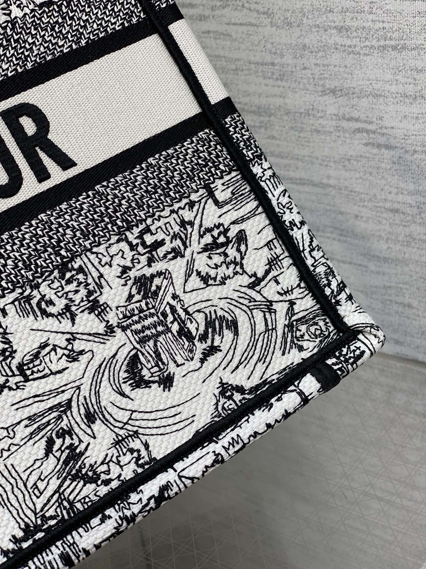 Dior Luxury Black and White Paris Landmark Canvas Tote Bag