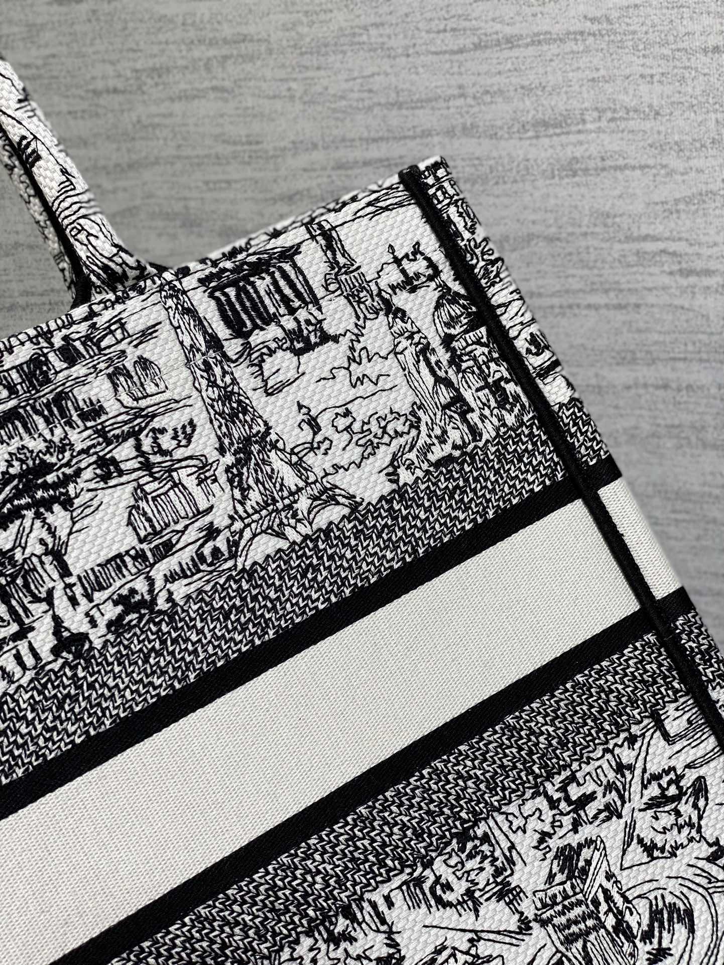Christian Dior Book Tote Medium Plan de Paris Embroidery Canvas Bag