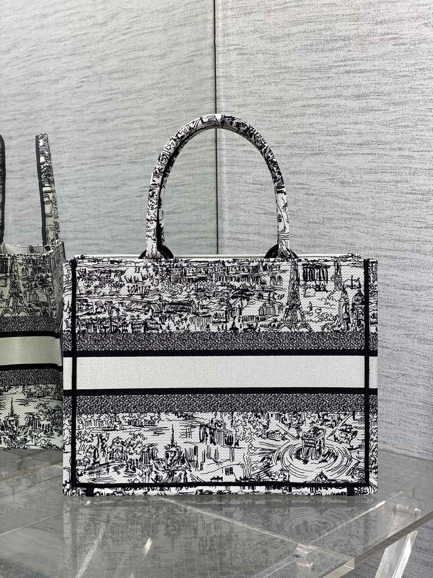 Christian Dior Book Tote Medium Plan de Paris Embroidery Canvas Bag