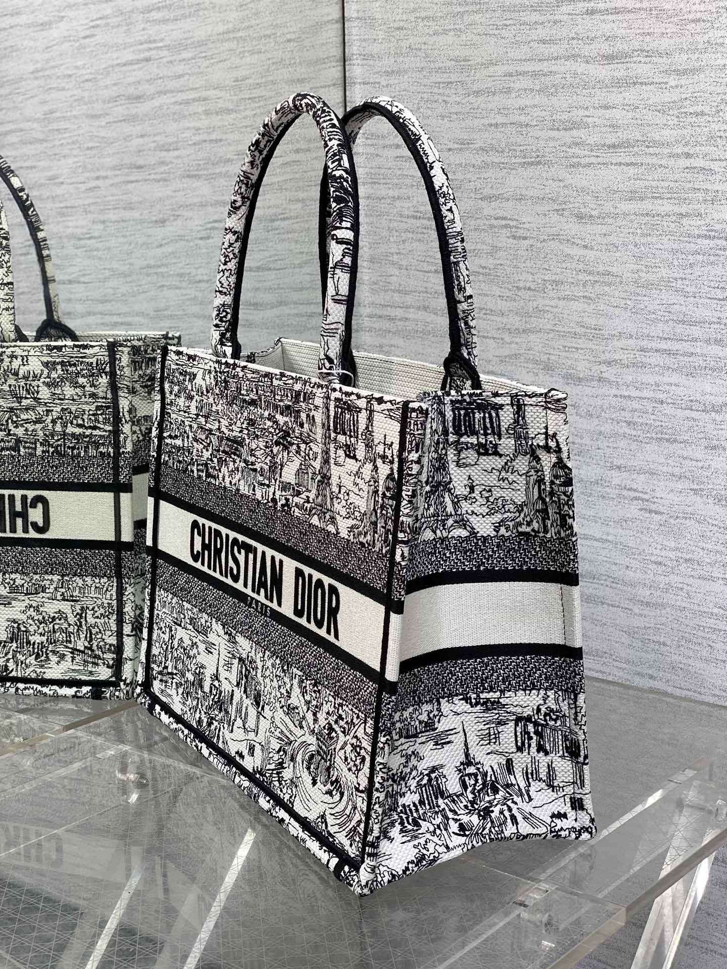 Dior Large Embroidered Canvas Tote Bag with Black and White Landscape Design
