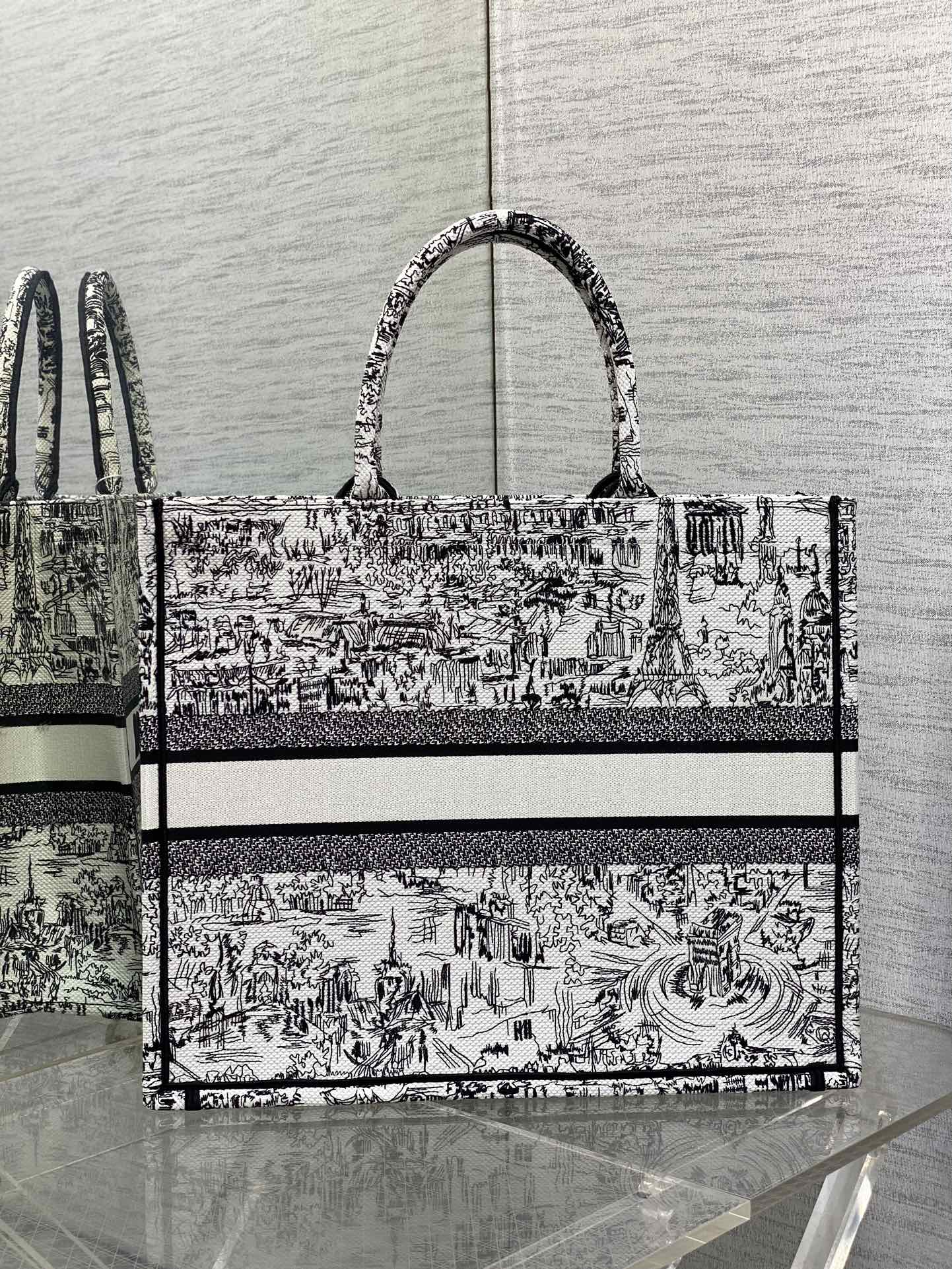 Dior Black and White Paris Sketch Embroidered Canvas Tote Bag