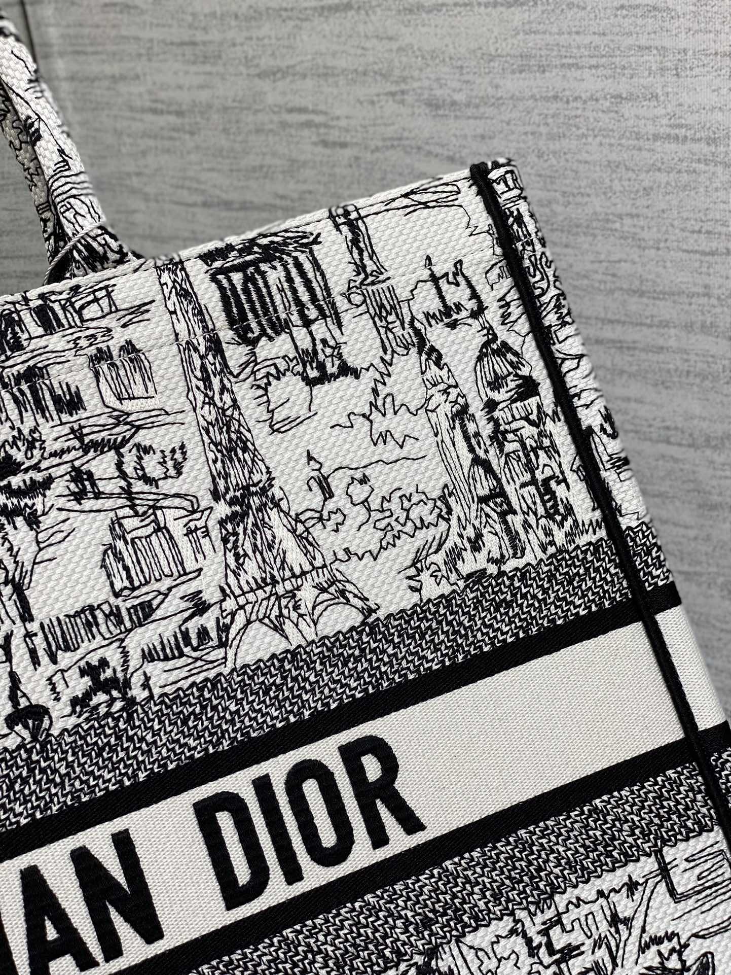 Dior Black and White Paris Sketch Embroidered Canvas Tote Bag