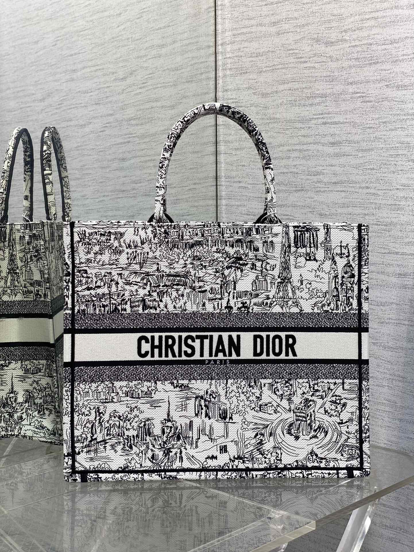 Dior Black and White Paris Sketch Embroidered Canvas Tote Bag