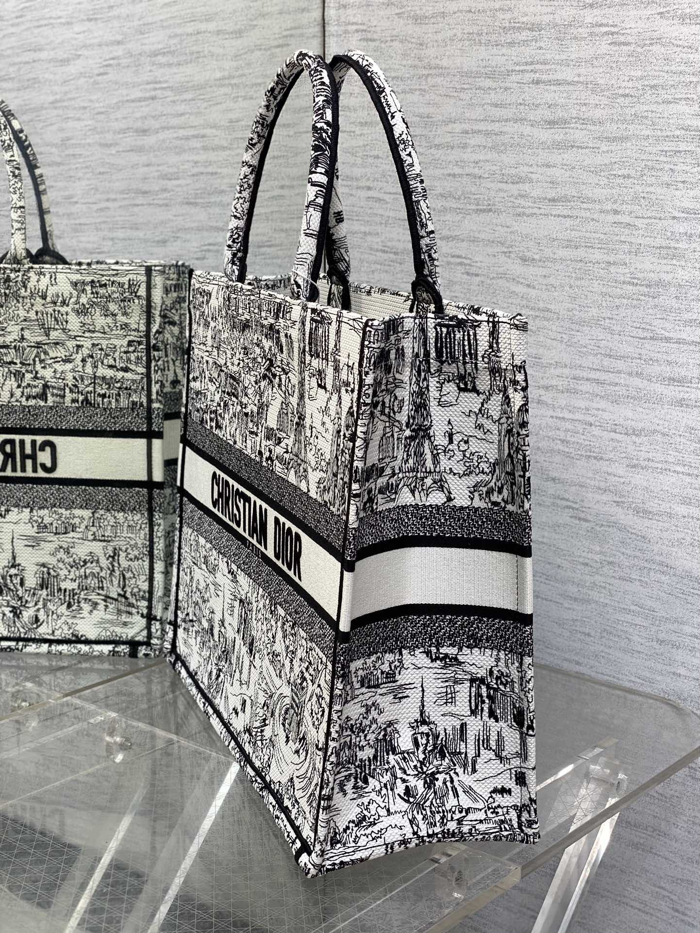 Dior Monochrome Parisian Cityscape Print Canvas Tote Bag
