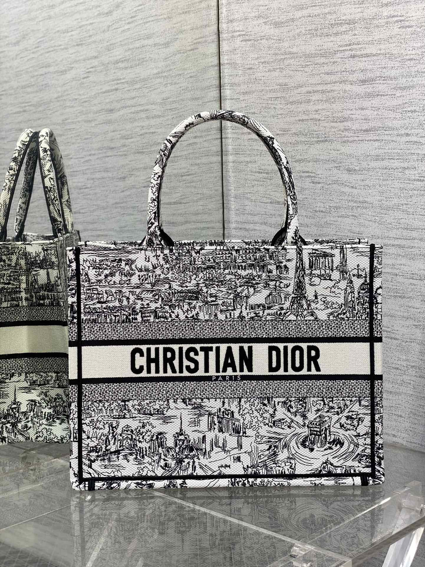 Dior Parisian Toile Scenic Print Large Canvas Tote Handbag