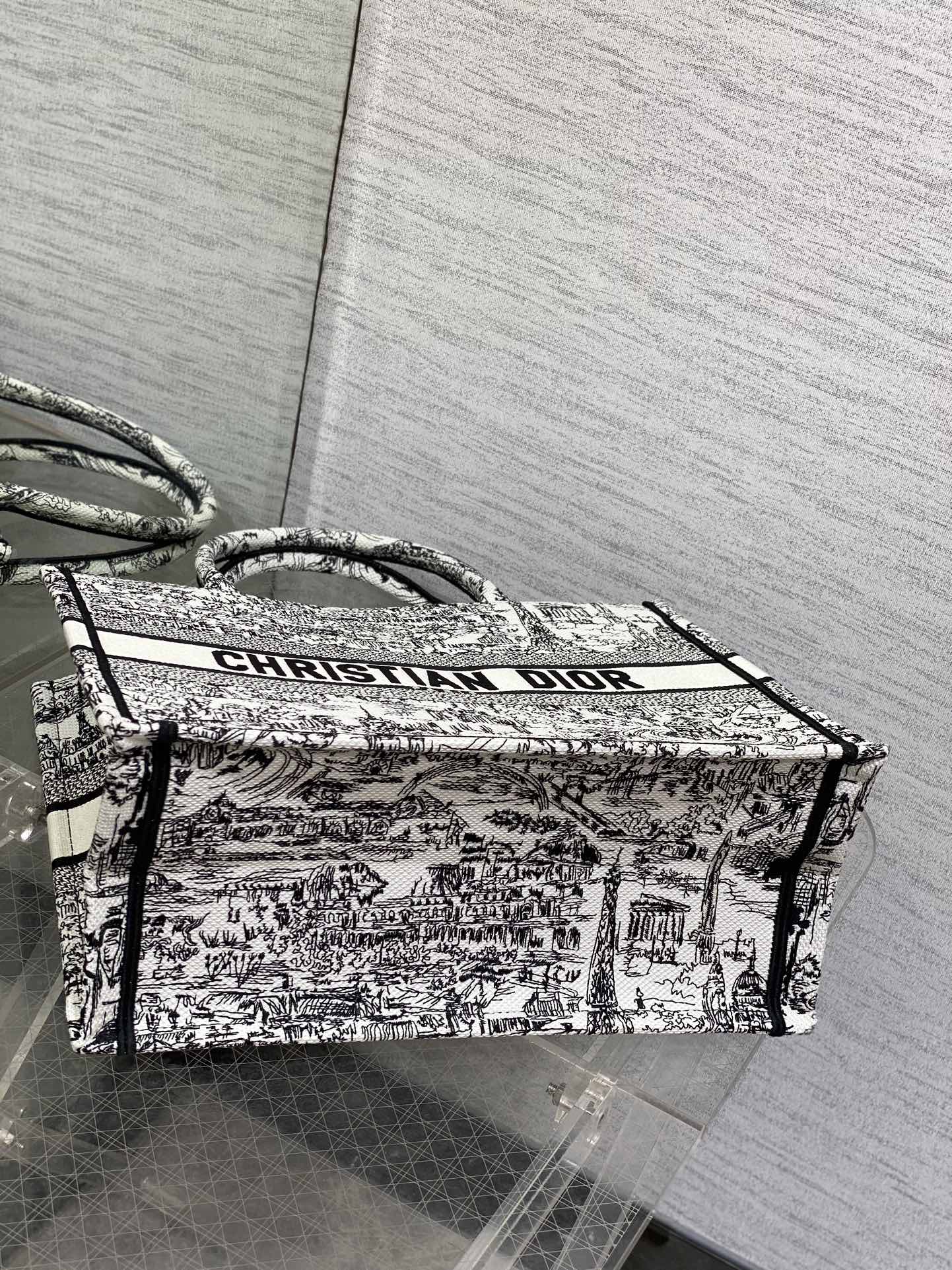 Dior Parisian Toile Scenic Print Large Canvas Tote Handbag