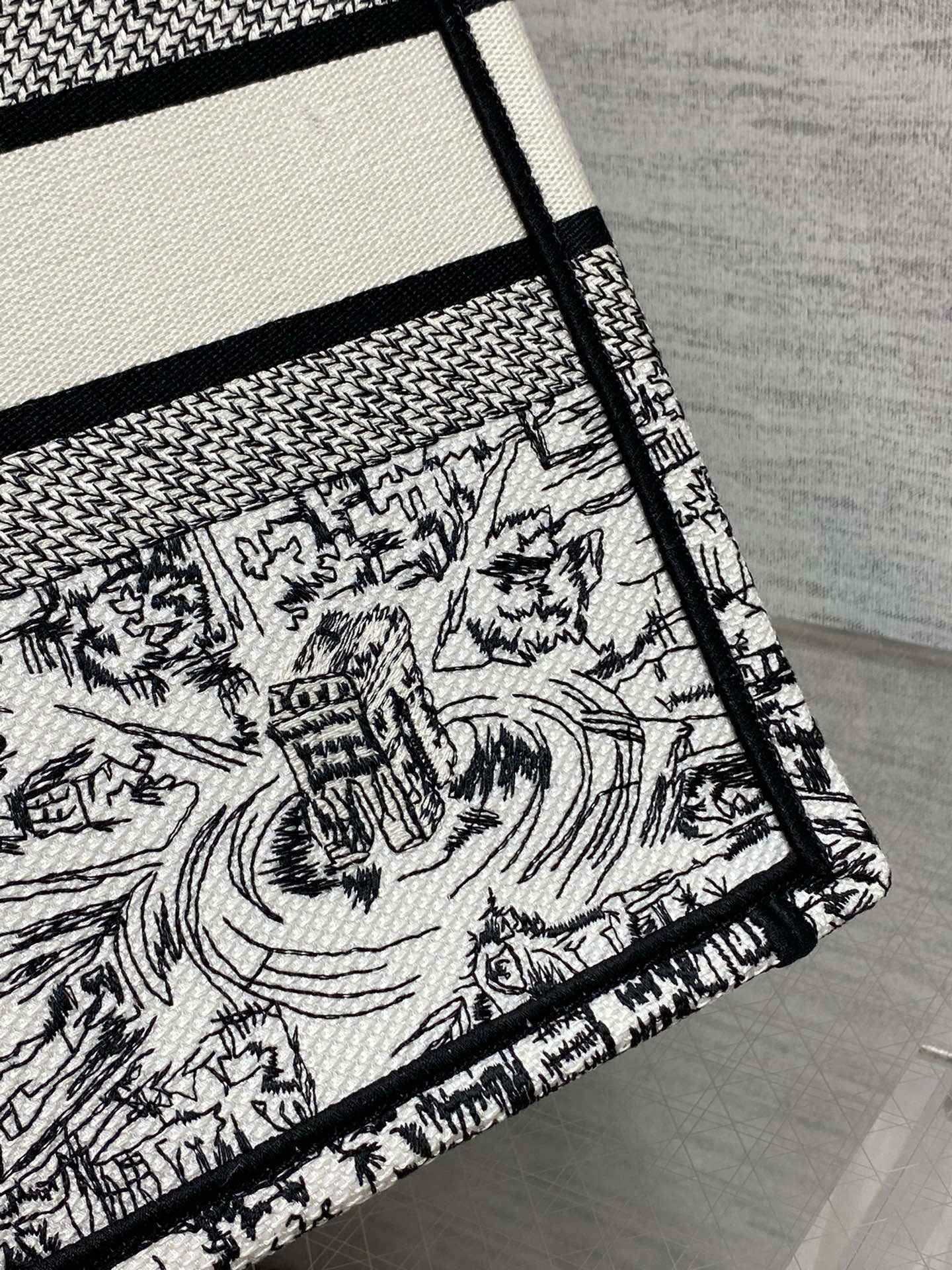 Christian Dior Medium Book Tote Plan de Paris Embroidery