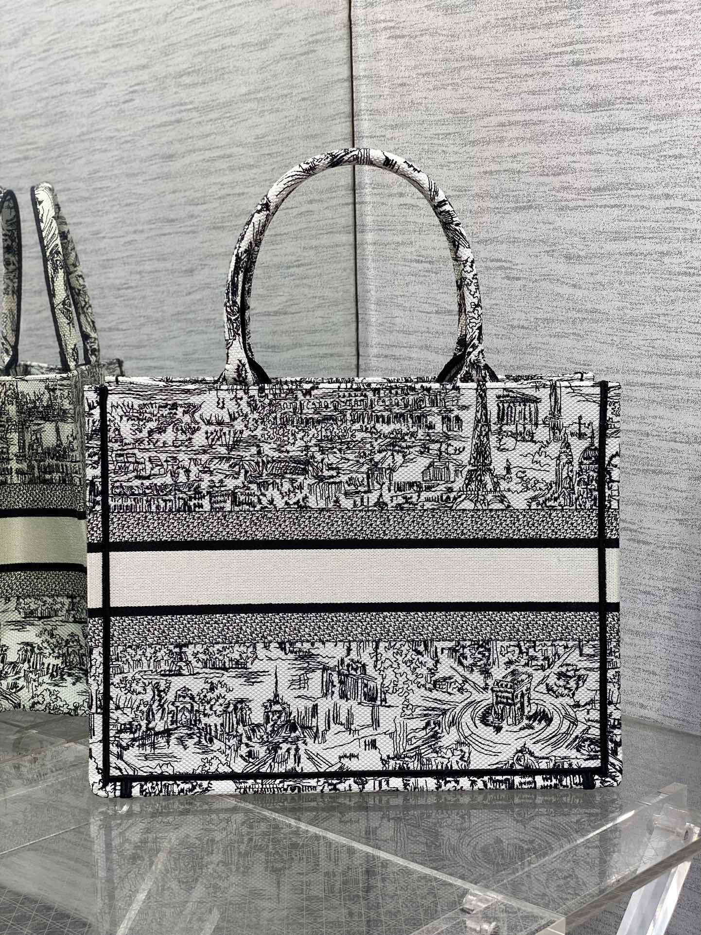 Dior Parisian Toile Scenic Print Large Canvas Tote Handbag