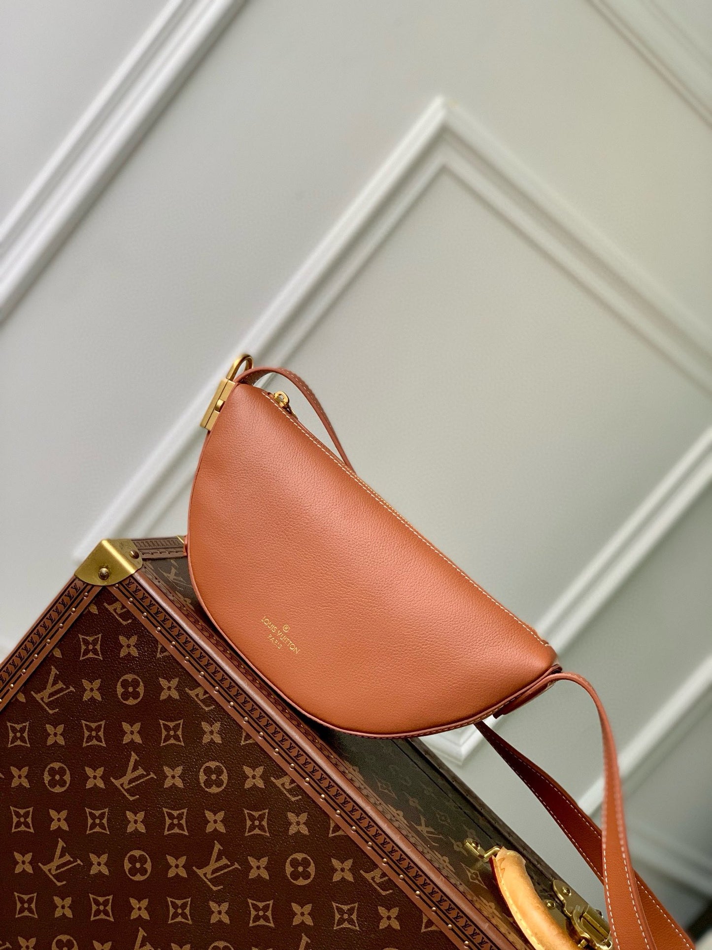 Louis Vuitton Modern Brown Leather Crescent Waist Bag with Adjustable Strap