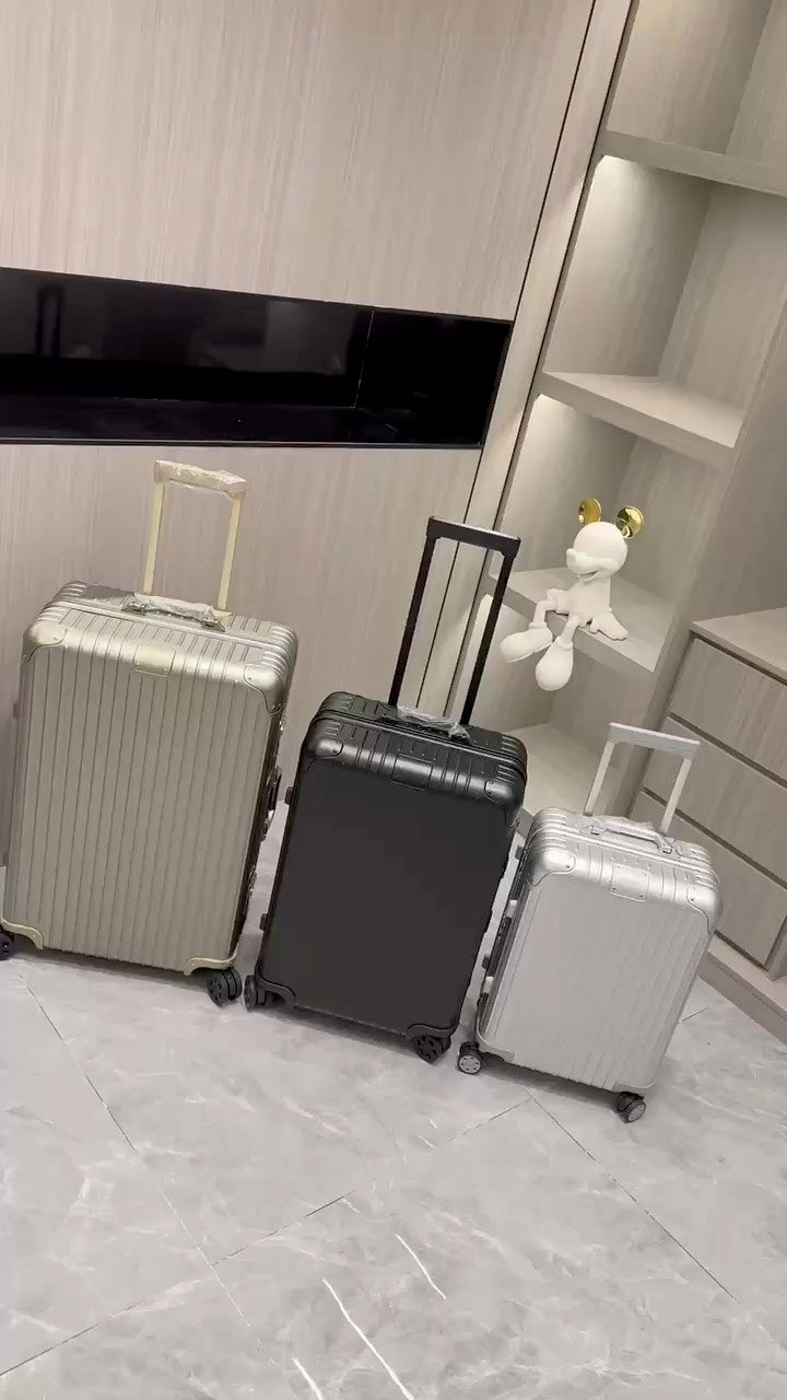 Sleek Hardside Spinner Luggage Set with Telescopic Handles