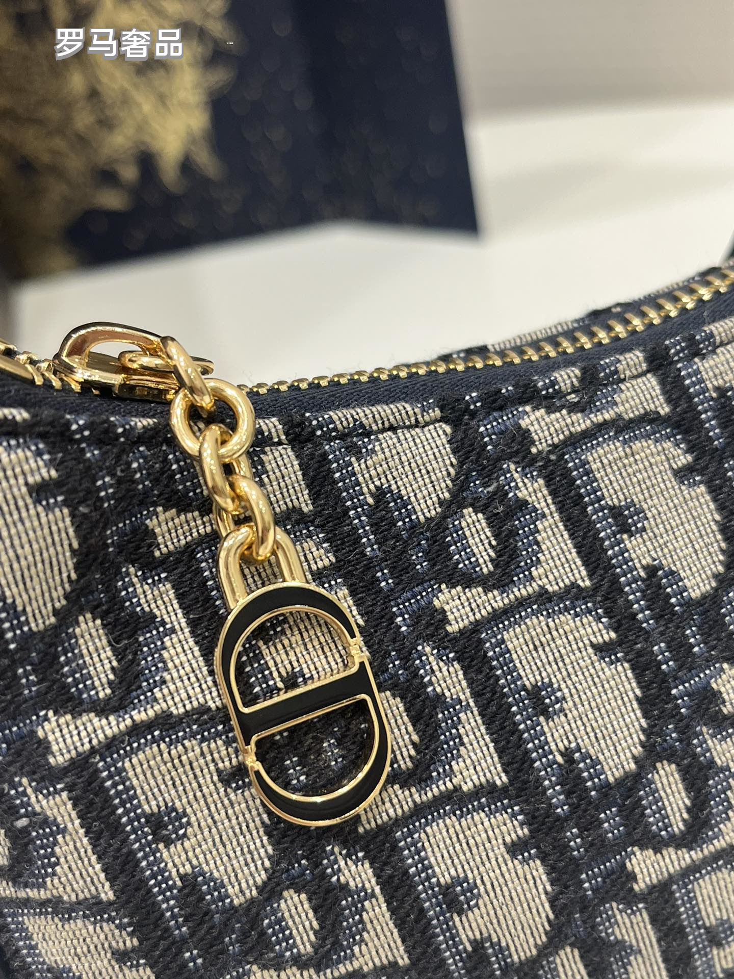 Dior Elegant Monogram Canvas Crescent Shoulder Bag with Gold Chain