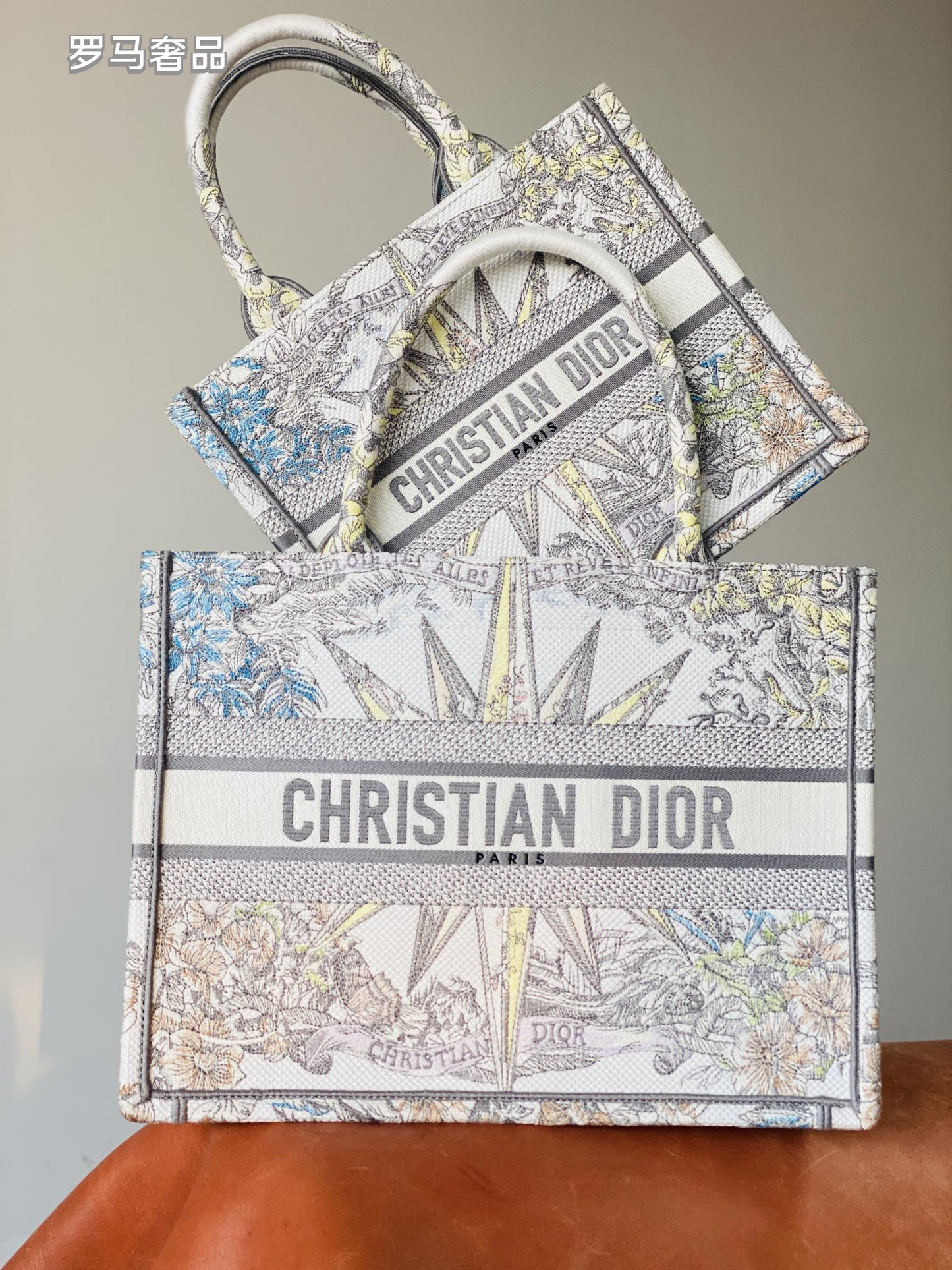 Dior Luxury Embroidered Canvas Tote Bag with Constellation Star Print