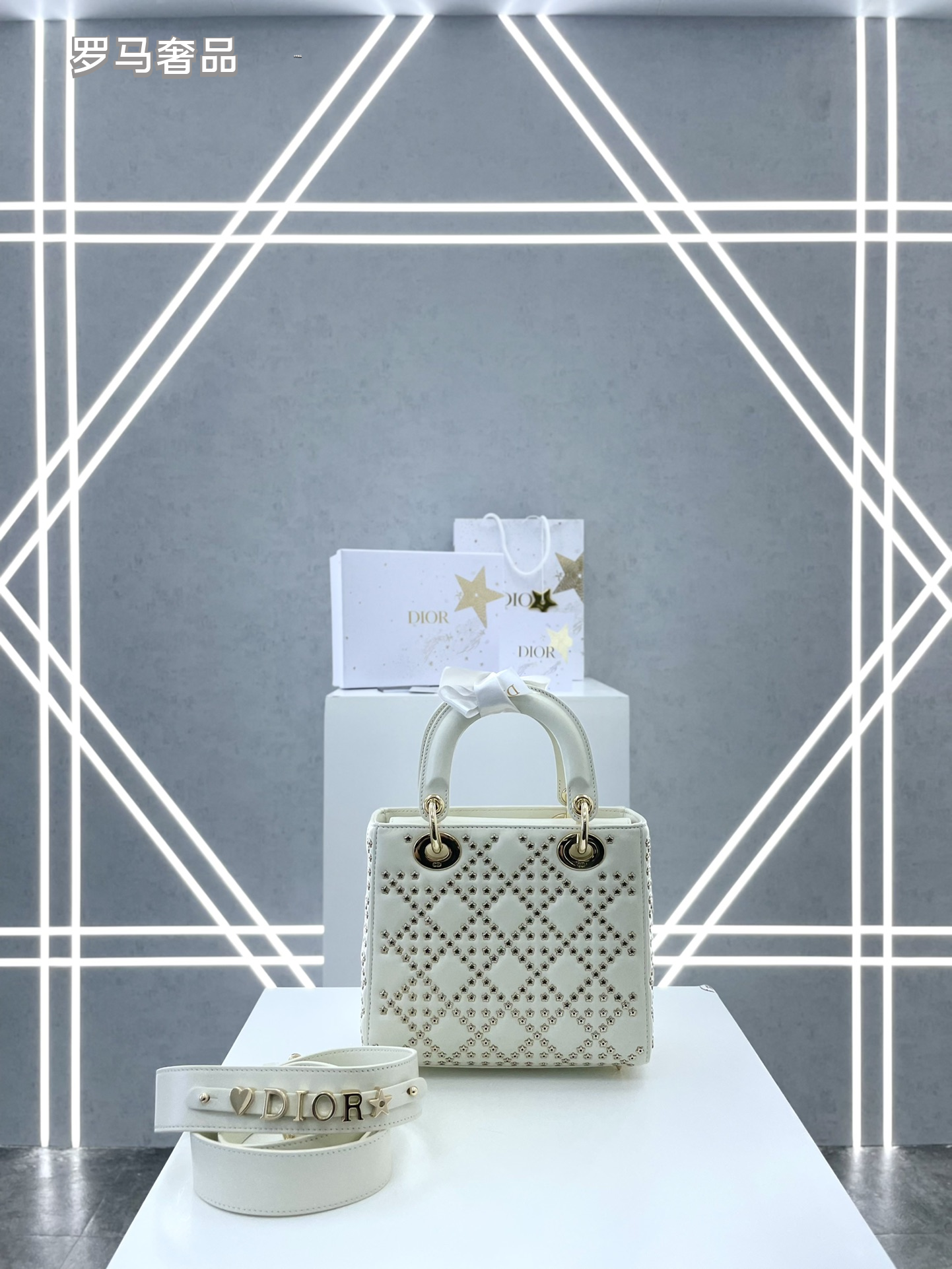Dior Luxury White Quilted Leather Top-Handle Shoulder Bag for Women