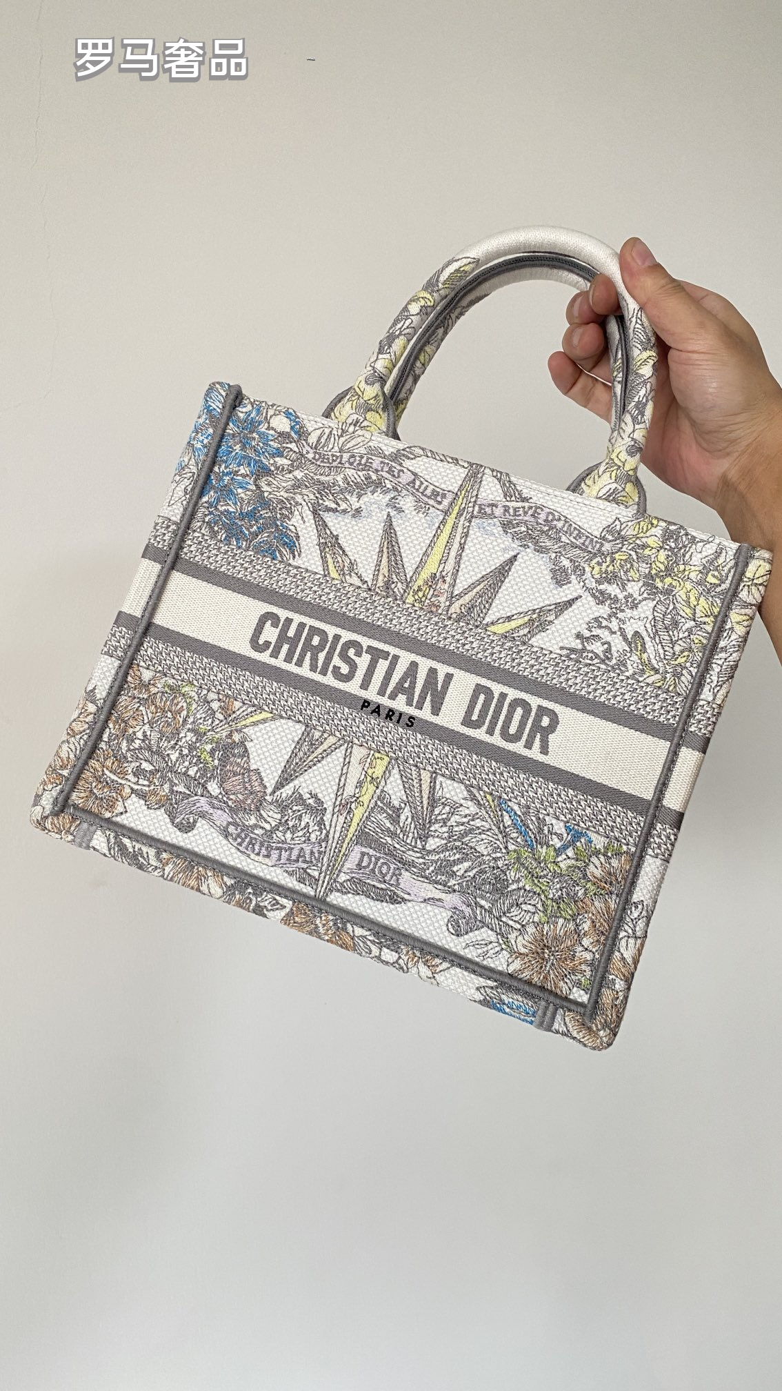 Dior Luxury Embroidered Canvas Tote Bag with Constellation Star Print