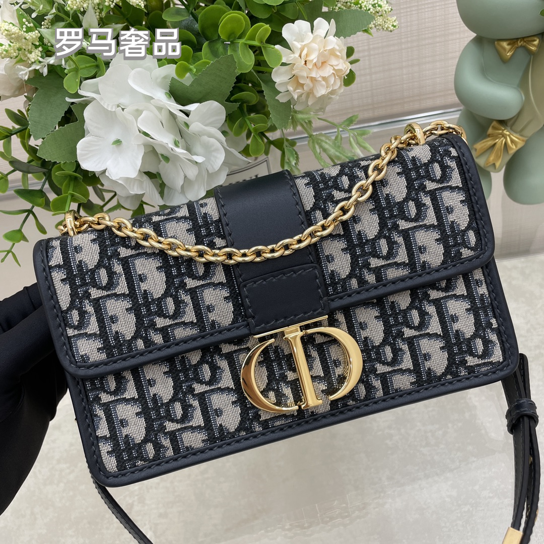 Dior Luxury Monogram Canvas Shoulder Bag with Gold Hardware and Chain Strap