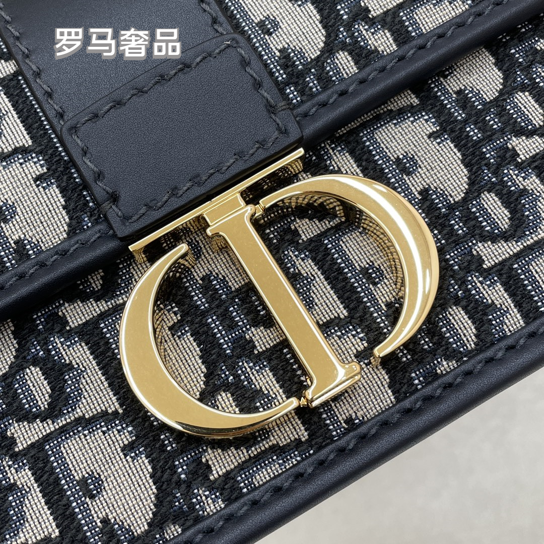 Dior Luxury Monogram Canvas Shoulder Bag with Gold Hardware and Chain Strap